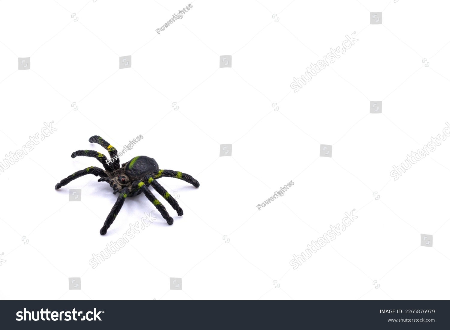 Wallpaper #HfQqOpMBKFX8bn3rhHgw67 Plastic Toy Spider Top View Isolated Stock Photo 2265876979 Shutterstock