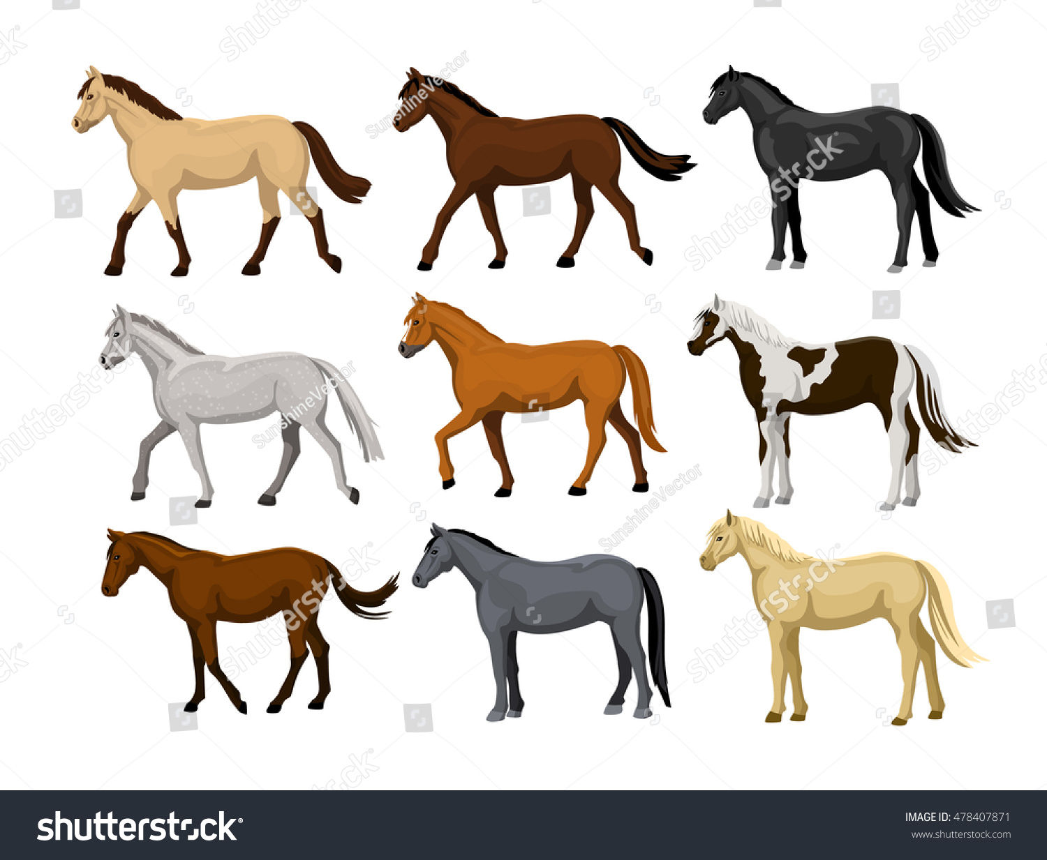 Wallpaper #ZfuAgZcBx-Hc5Y20Bqws196 135 Horse Quarter Marks Images Stock Photos Vectors Shutterstock