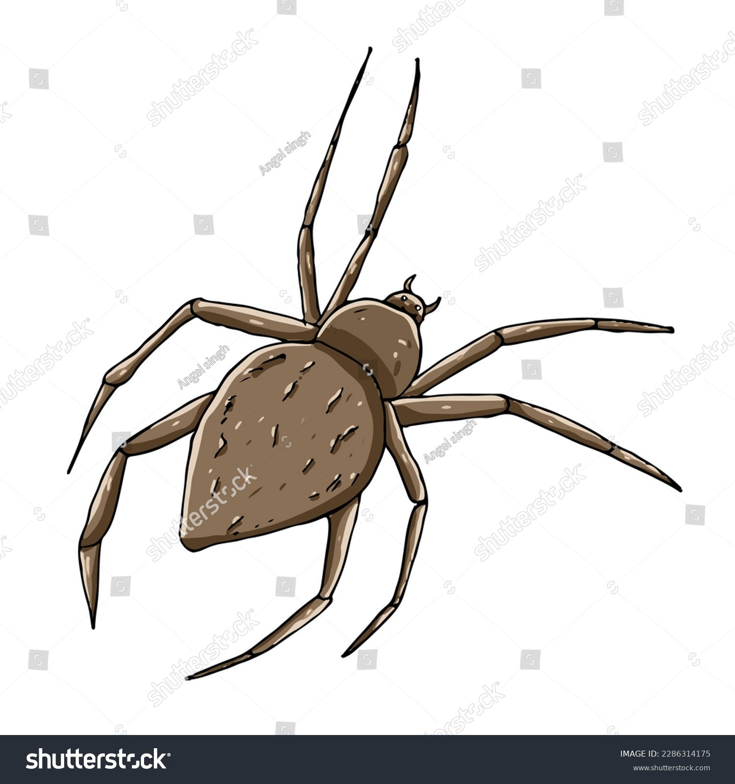 Wallpaper #E2c47pIBSpphPi3-v1xa71 Cute Cartoon Spider Clipart Page Kids Stock Vector Royalty Free