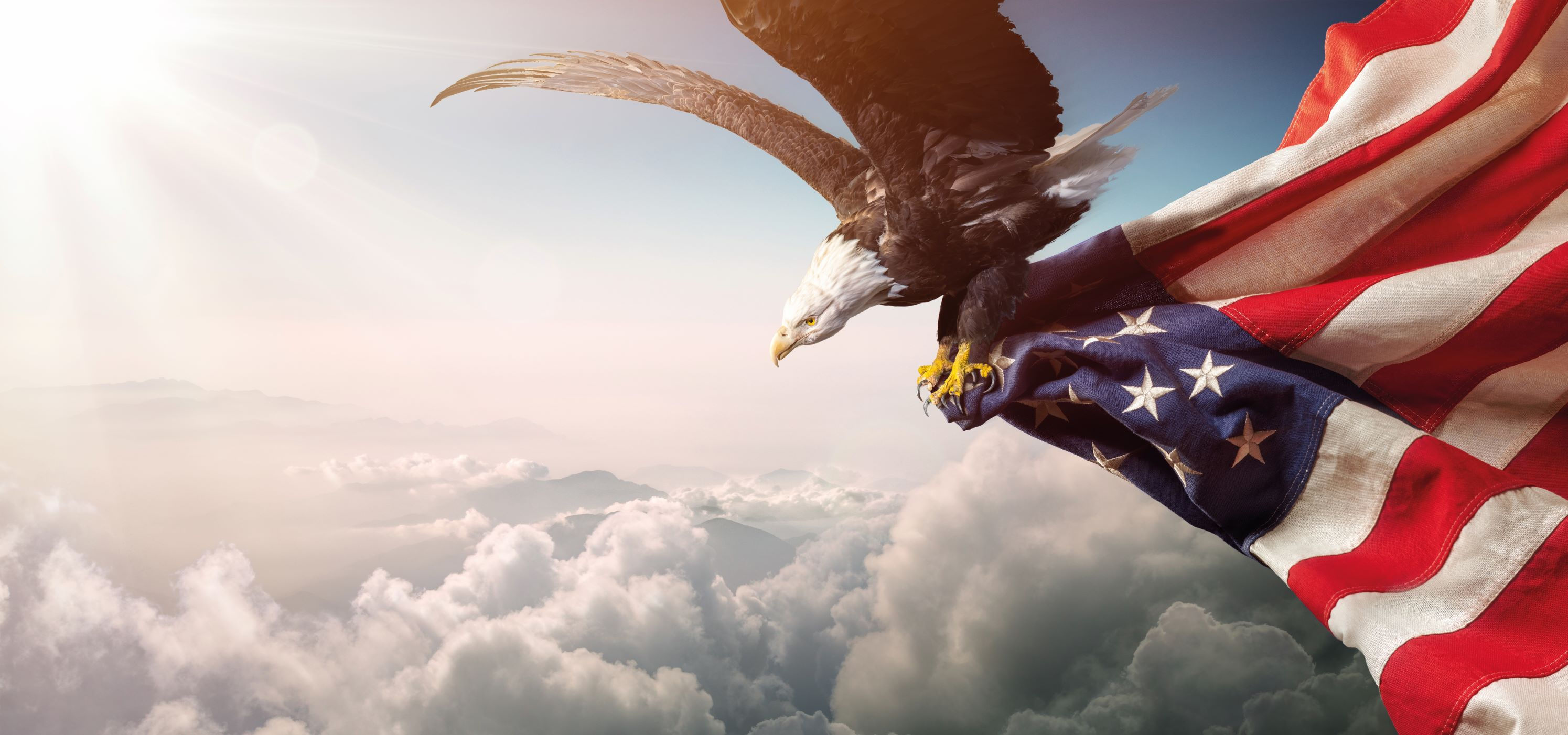 Wallpaper #6ef95 11209 Gier Eagle Images Stock Photos Vectors Shutterstock