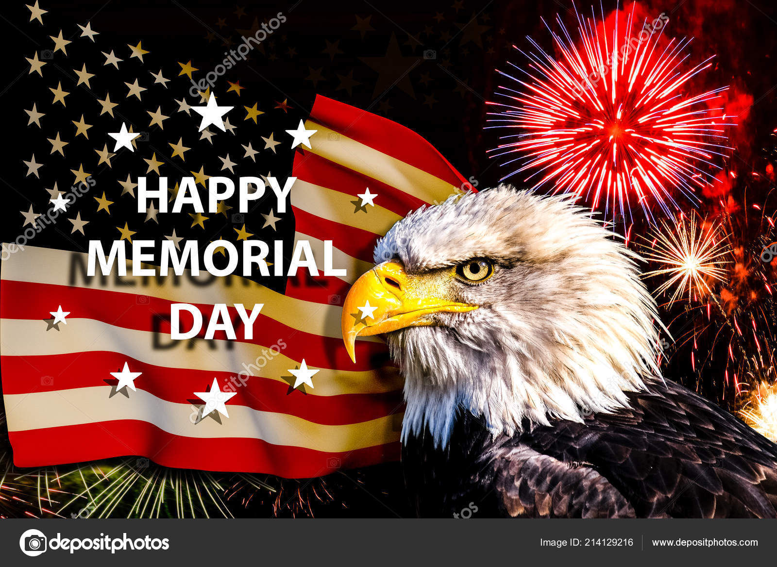 Wallpaper #6ef95 11209 Gier Eagle Images Stock Photos Vectors Shutterstock