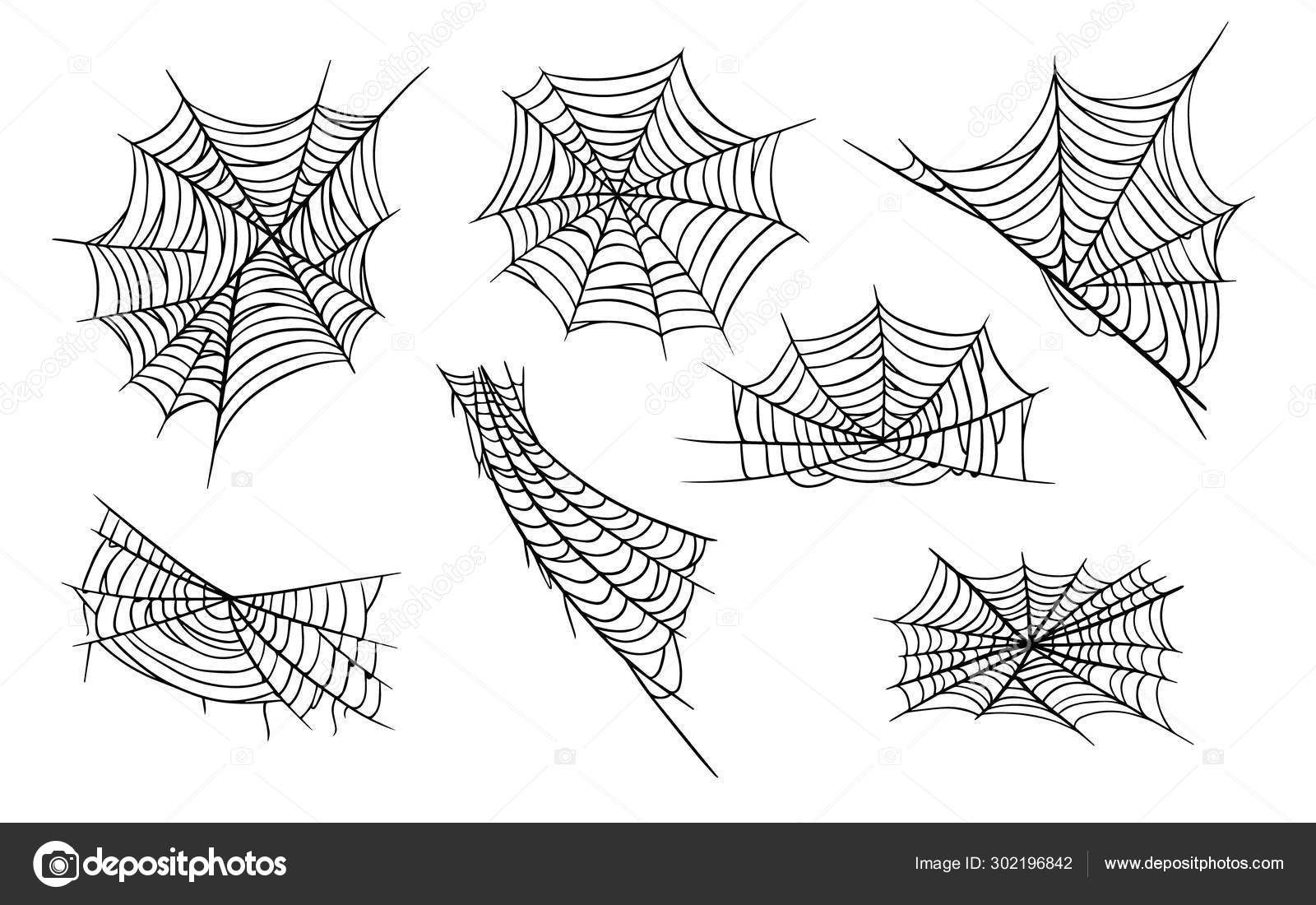 Wallpaper #mWf1-JIBSpphPi3-LItN286 Spider Web Hand Drawn Monochrome Illustrations Set Stock Vector
