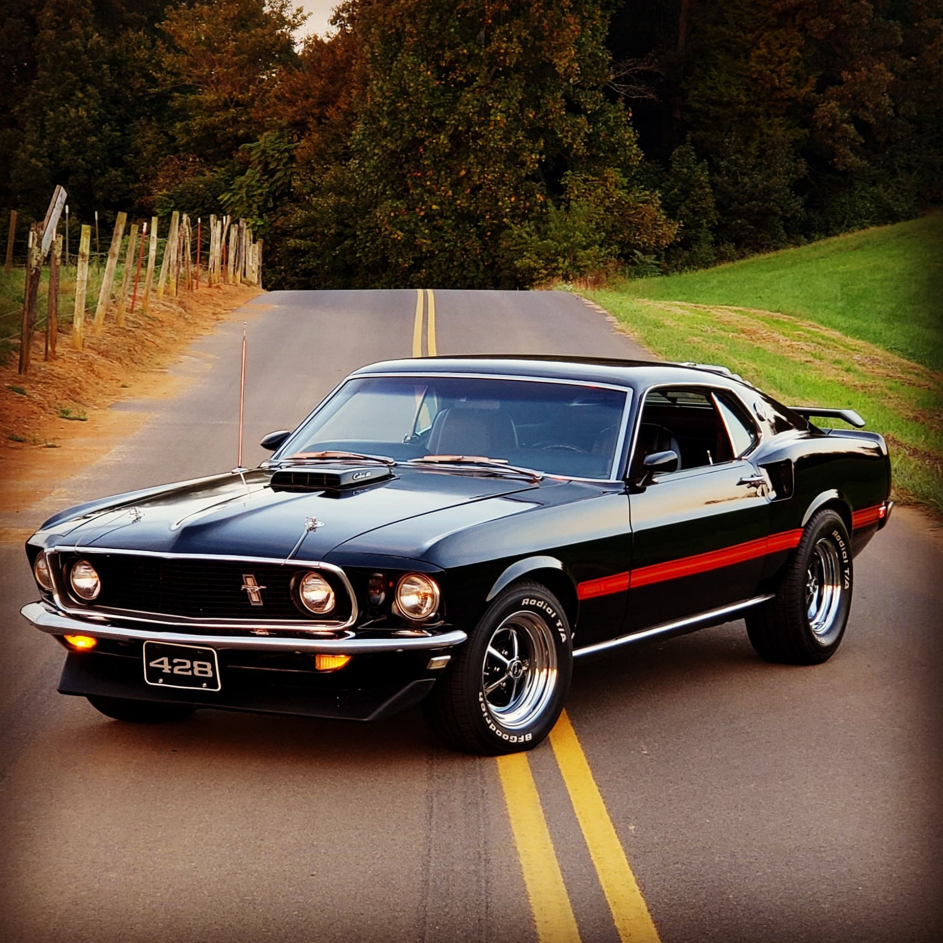 Wallpaper #ixls-I4BtGB6xQ78MEUP28 1969 Ford Mustang Mach 1 Factory R Code Cobra Jet 428 Duluxe Marti