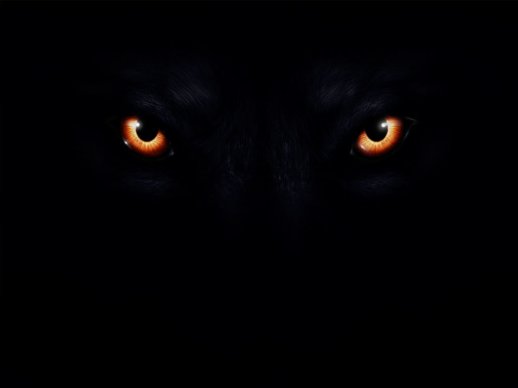 Wallpaper #0002c Glowing Wolf Eyes at Night