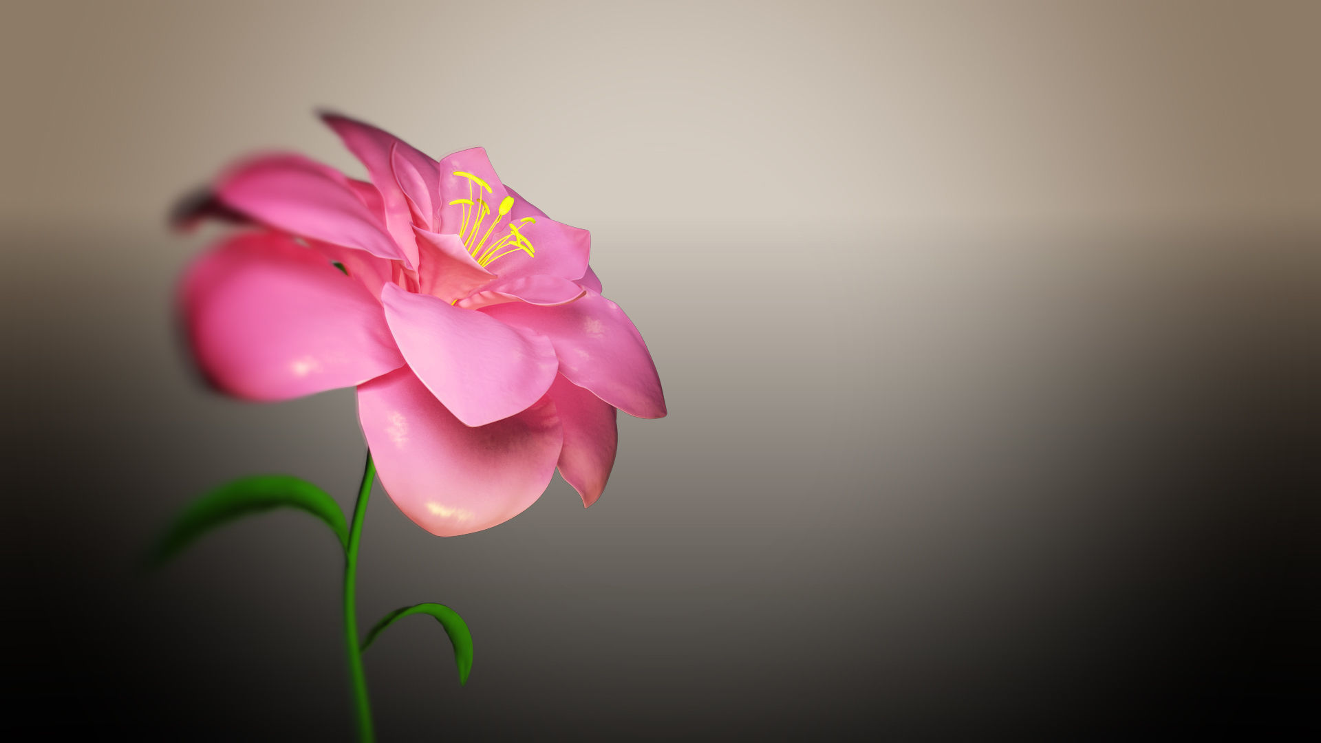 Wallpaper #12hXIpMBSpphPi3-bTLG184 Animated Flower Blooming Flower 3D Model Animated Rigged Cgtrader