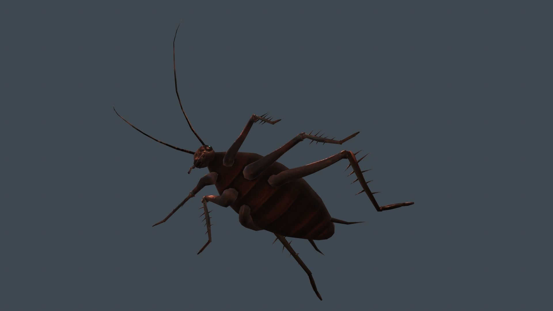 Wallpaper #SWdXCpMBSpphPi3-q9Qk175 3D Model Animated Cockroach Vr Ar Low Poly Cgtrader