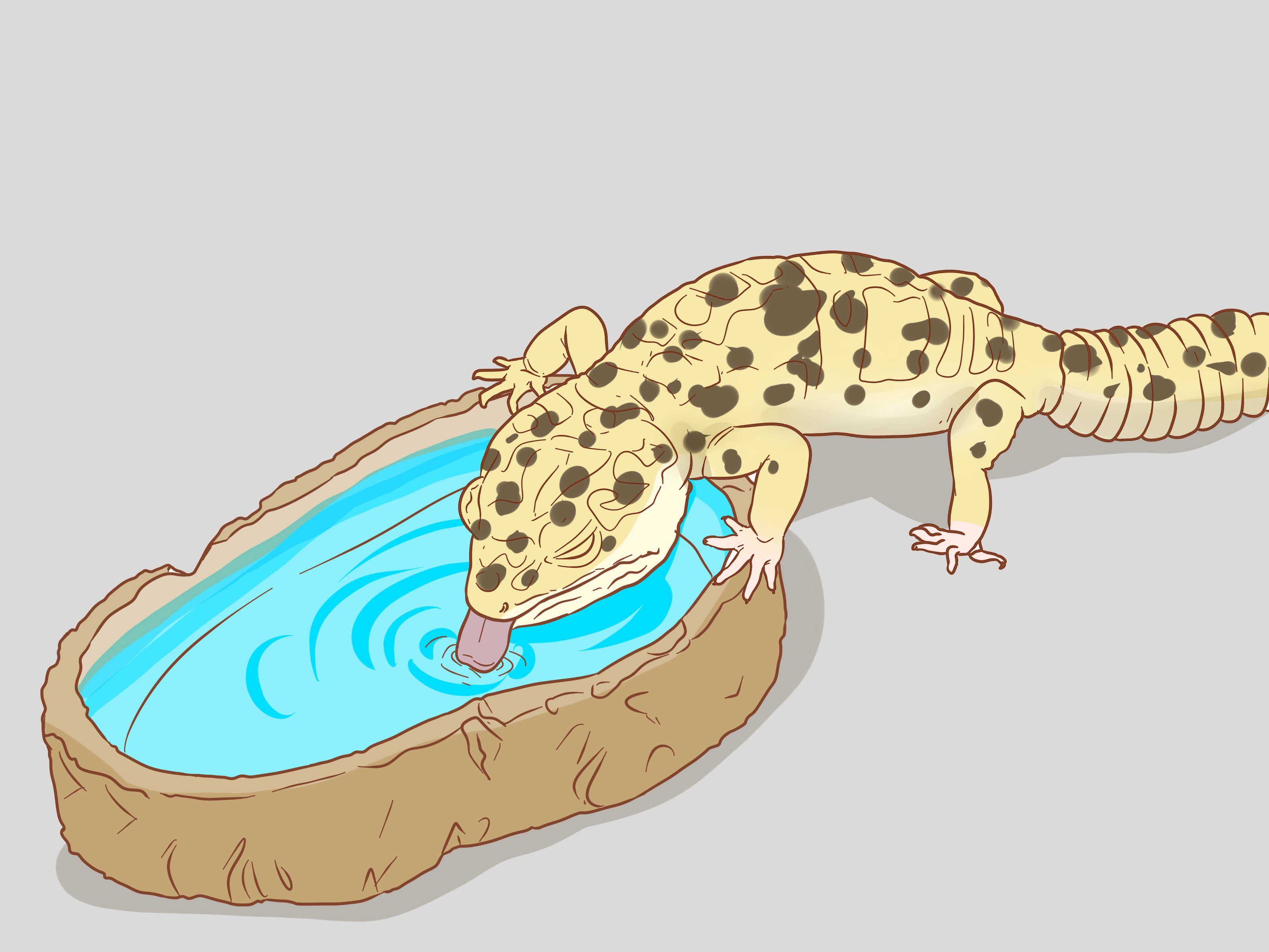 Wallpaper #Pu90S5MBMN-XEVvVzTu213 Leopard Gecko Drawing How to Draw a Leopard Gecko Easy Bohemiwasusu