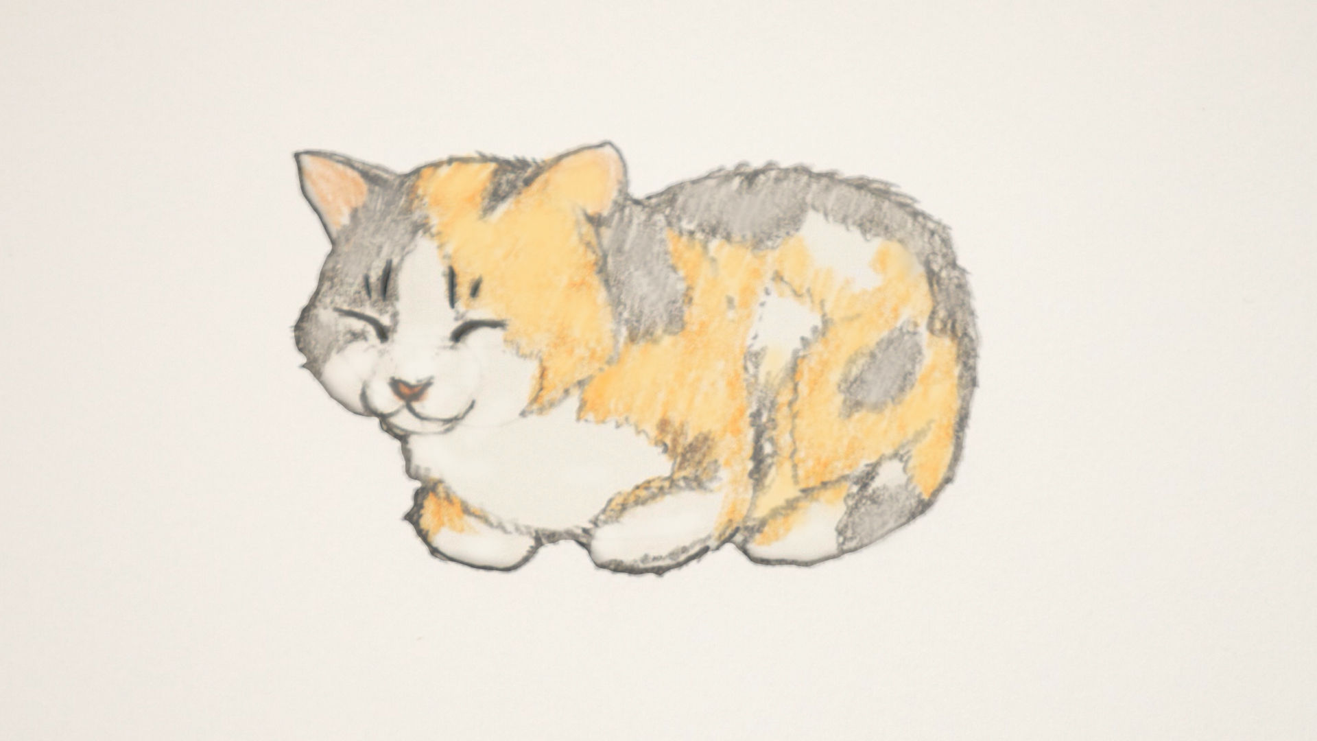 Wallpaper #CzWZkpcBk_lpvpaldpVw171 How to Draw a Cat in Slow Motion