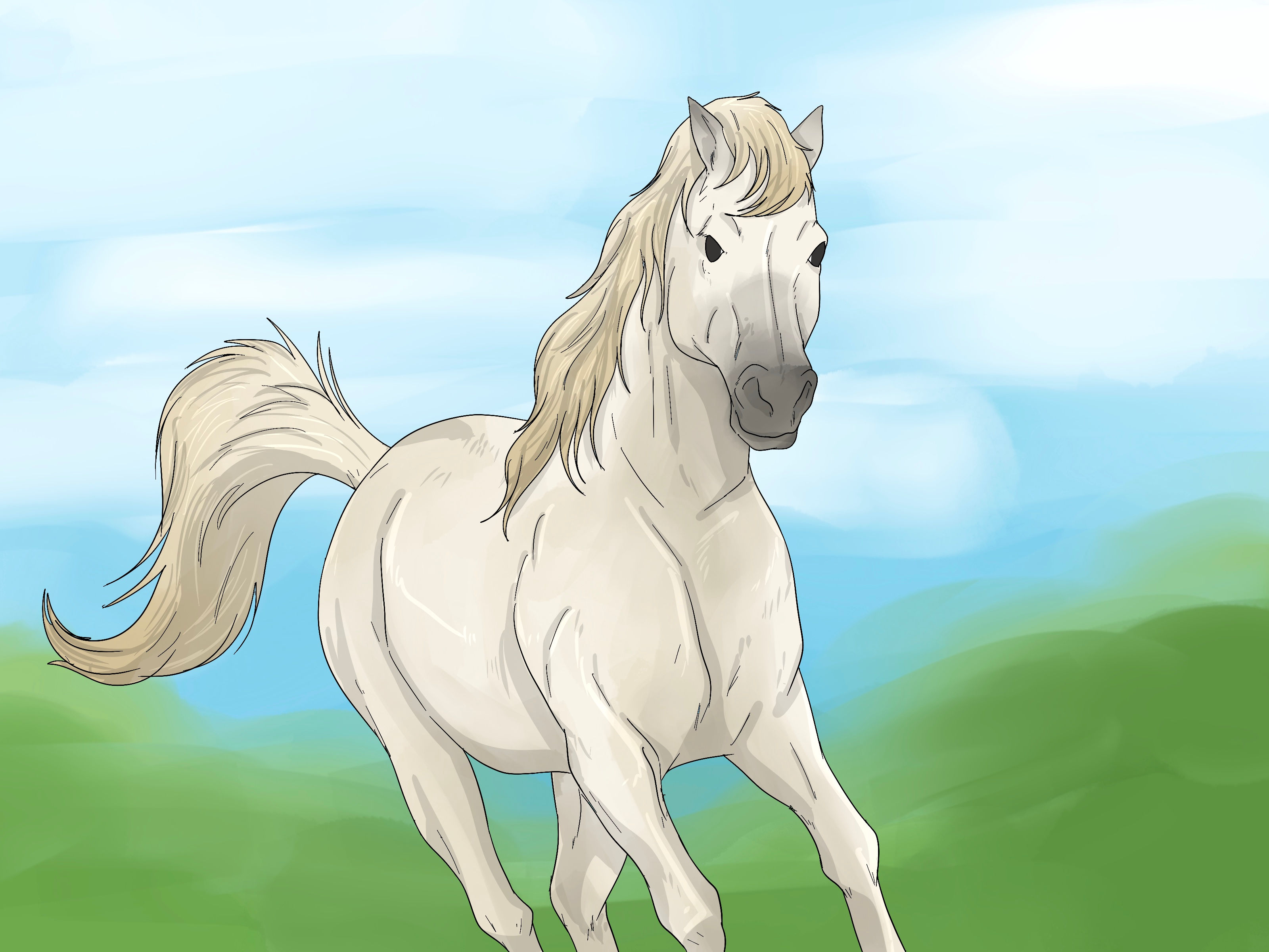 Wallpaper #8h2ULJMBlOZrFDOkIMqE20 White Horse Meaning Spiritual Mythological More
