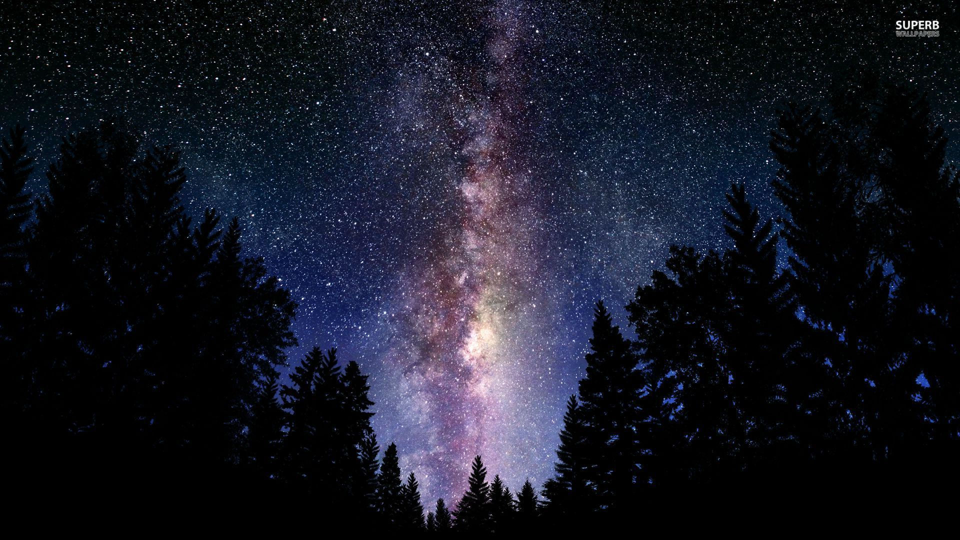 Wallpaper #_EYyVZcBqAgmjOk2F12g286 Milky Way Galaxy and the Andromeda Galaxy Wallpaper Forest with Stars