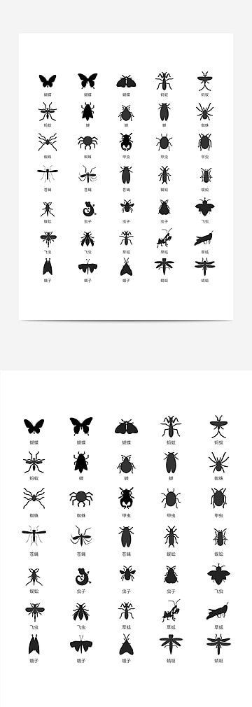 Wallpaper #eJyi4ZIBZHQxiYar67ym326 Beetles AI Vector Png Vector Psd and Clipart with Transparent