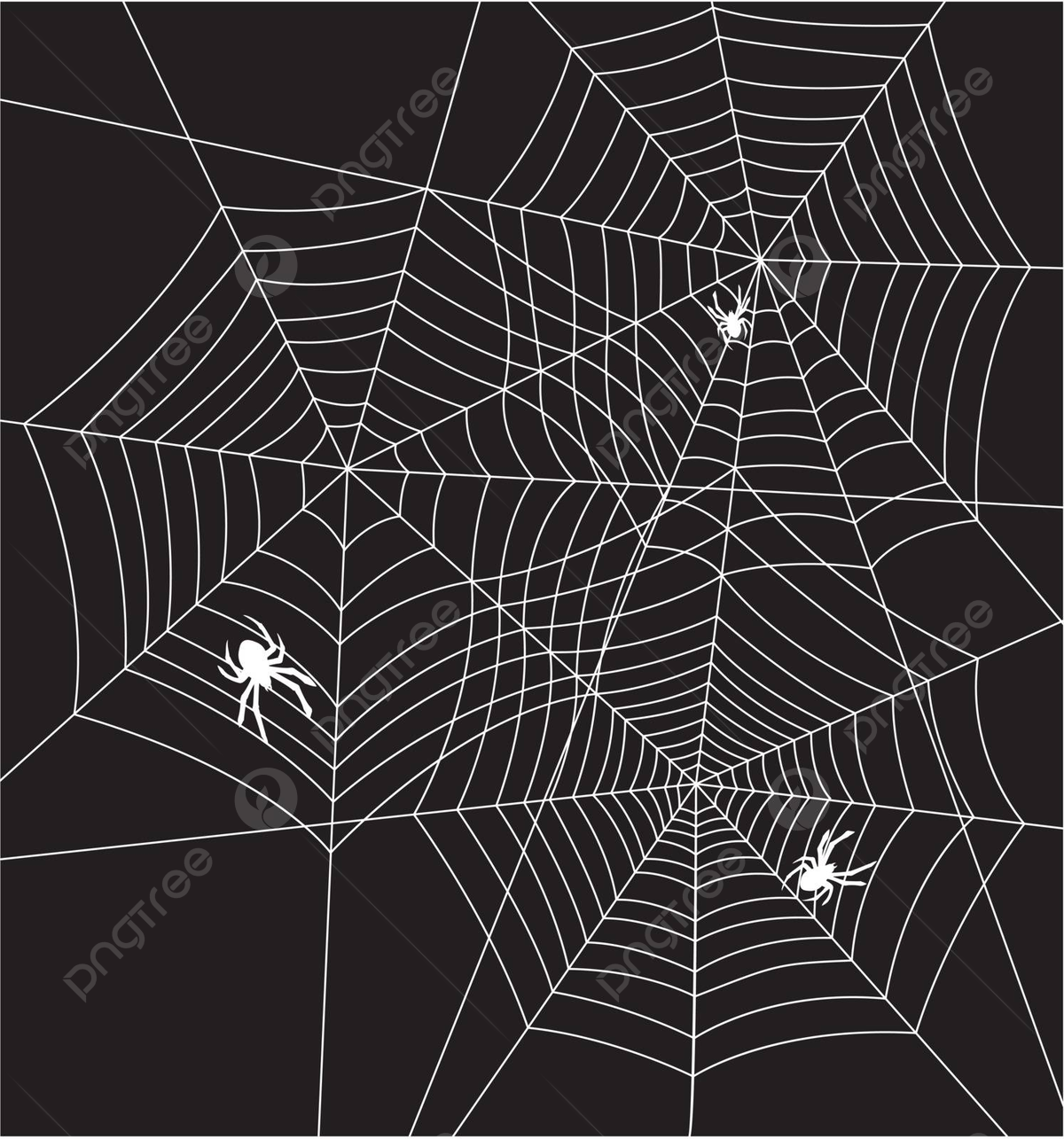 Wallpaper #52dP85IBSpphPi3-BnRA182 Vector Illustration of Spiders and Webs Danger Insect Detail Vector
