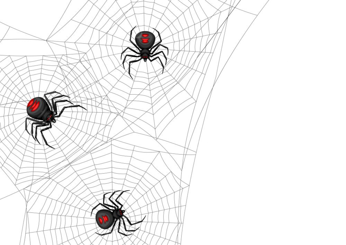 Wallpaper #n2GfLpMB3VrvfBrRMSSm262 Black Widow Vector HD Images Background with Black Widow Spiders