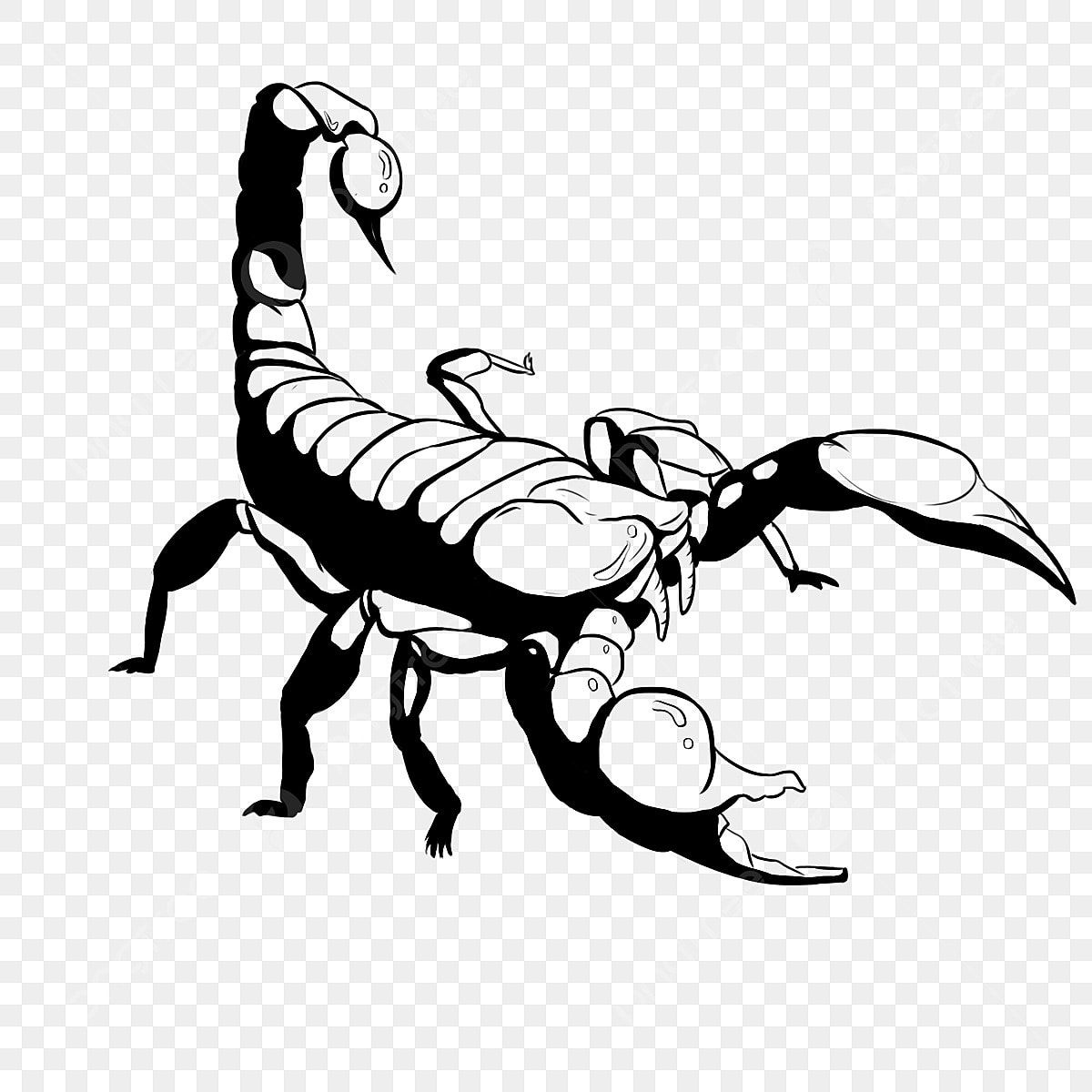 Wallpaper #YPQzOZMBKFX8bn3rnnbQ165 Big Scorpion Clip Art Lip Drawing Scorpion Clipart Png Transparent