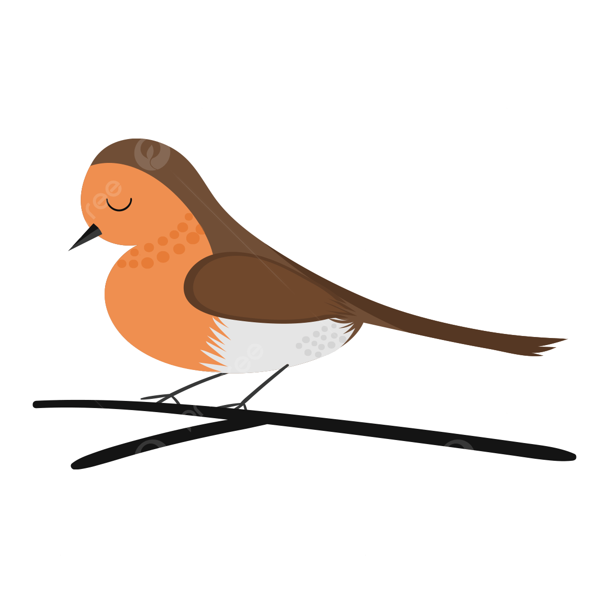 Wallpaper #afTDOpMBKFX8bn3rxXlk285 Robins Vector Design Images Sleeping Robin Clip Art Robin Clipart