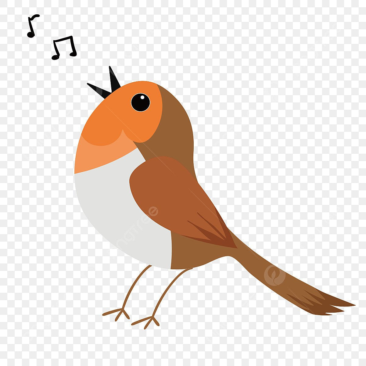 Wallpaper #afTDOpMBKFX8bn3rxXlk275 Robin Singing Clipart Transparent Png HD Singing Robin Looking Up Clip