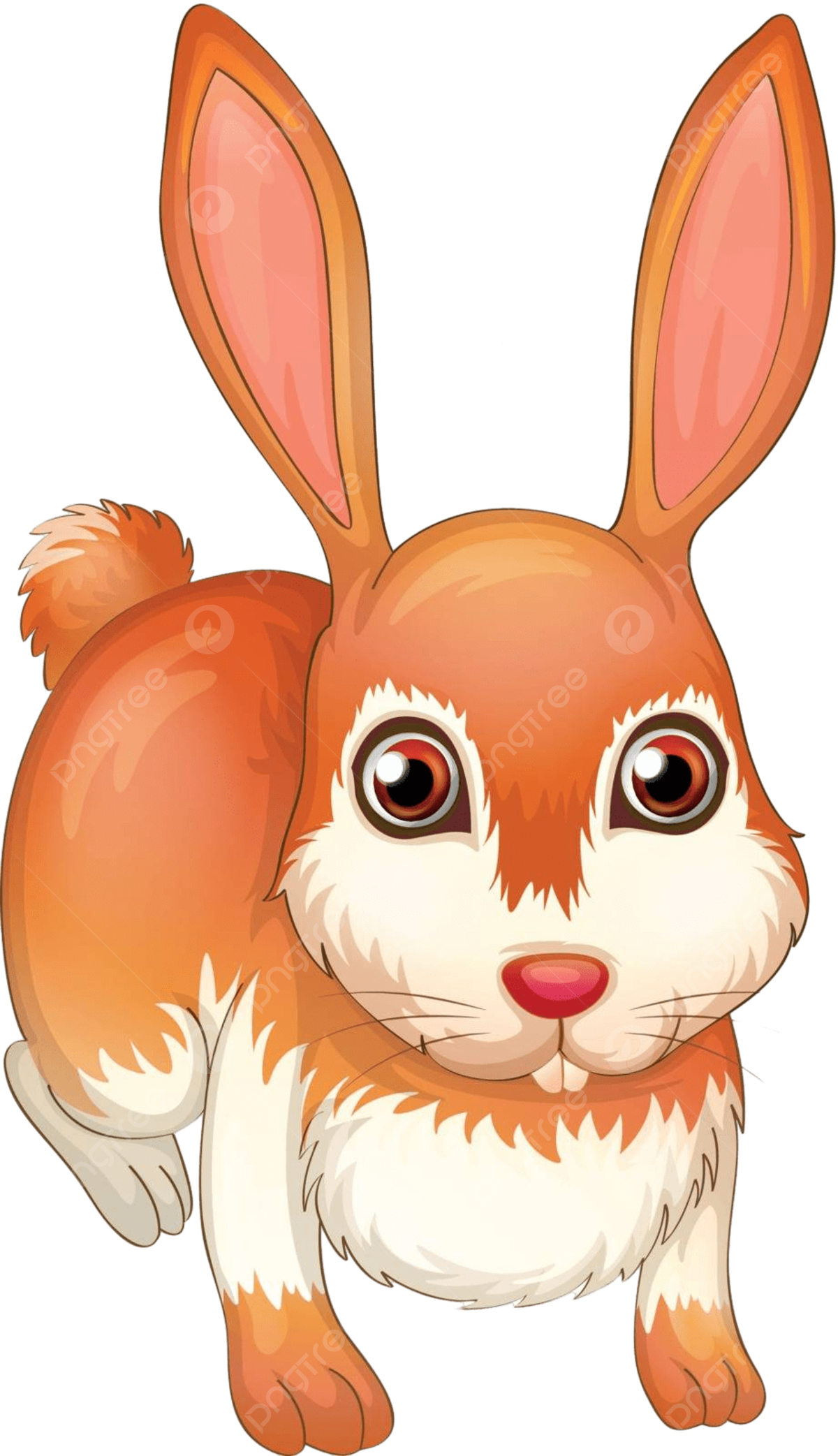 Wallpaper #Brh_2pIBJvJKYCmEEPI4248 Nose Y Clipart Png Vector Psd and Clipart with Transparent