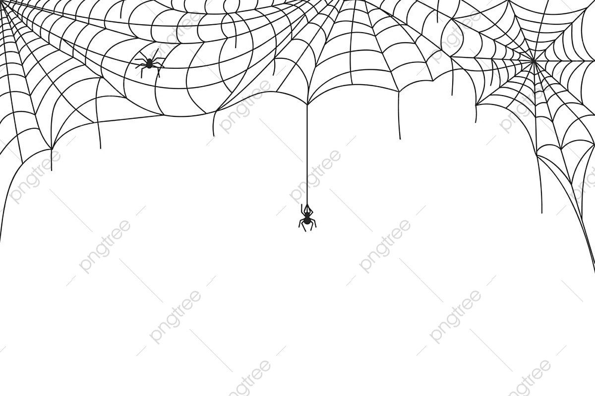 Wallpaper #V4v_dpcBcm9NJah-YnkY187 Spider Web Page Border Vrogueco