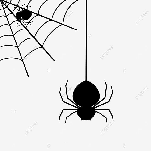 Wallpaper #71bf1 Pin by Kayleigh on Spider Drawings in 2024 Spiderman Drawing