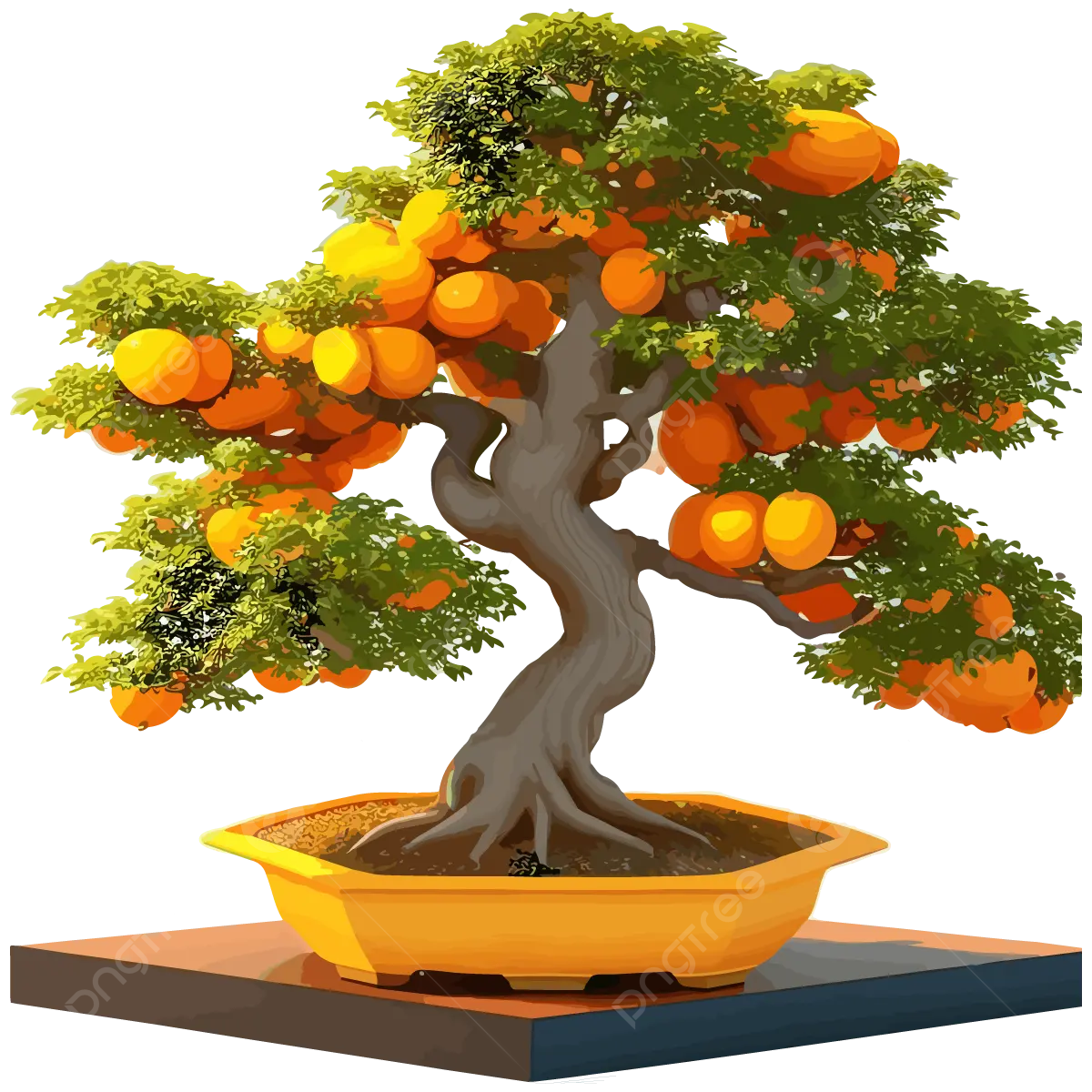 Wallpaper #jWdLE5MBSpphPi3-Rv-o264 Illustration Vector Design of a Bonsai Tree Beautiful Bonsai Natural