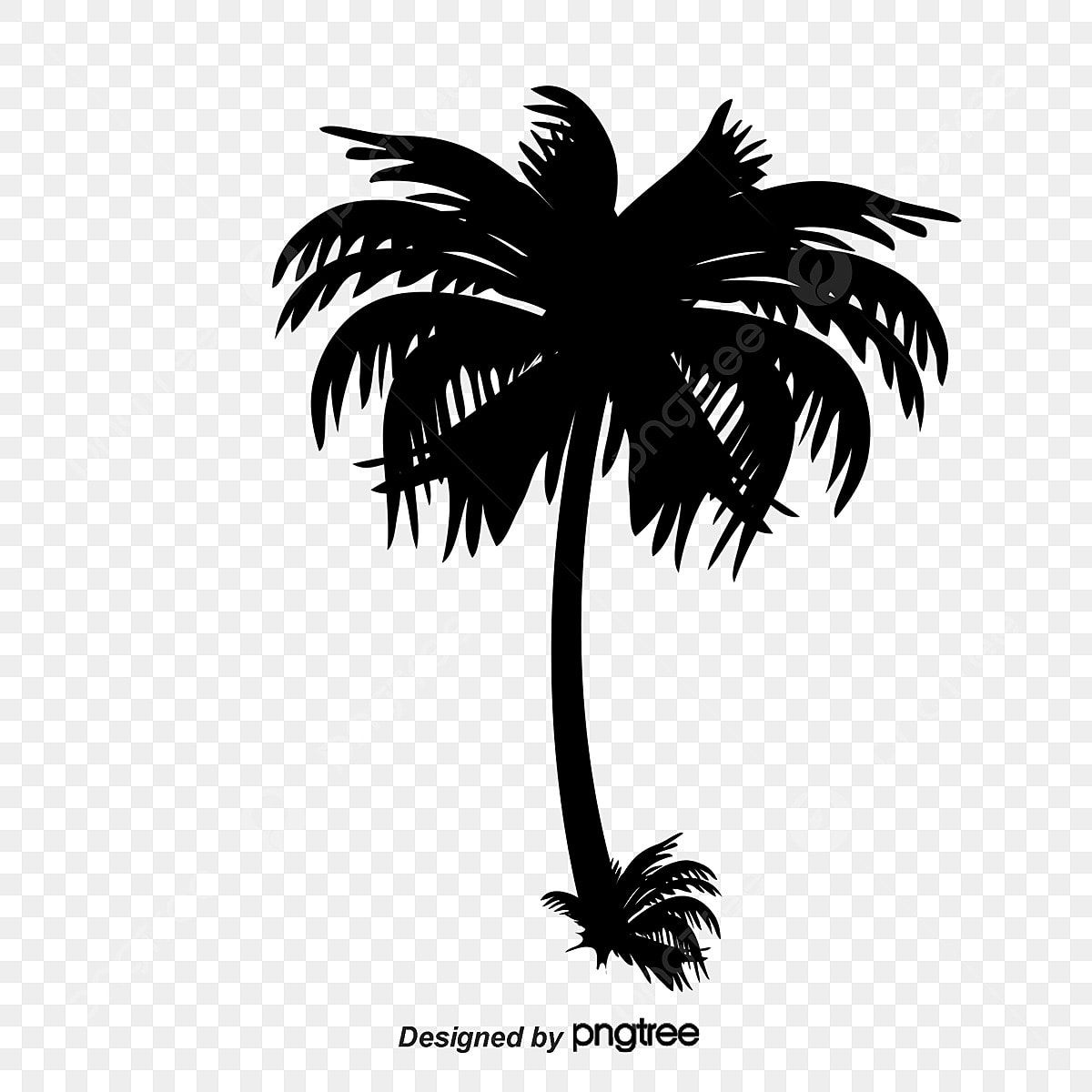 Wallpaper #x--qS5MBMN-XEVvVnztn490 Coconut Tree Silhouette Transparent Background Coconut Trees