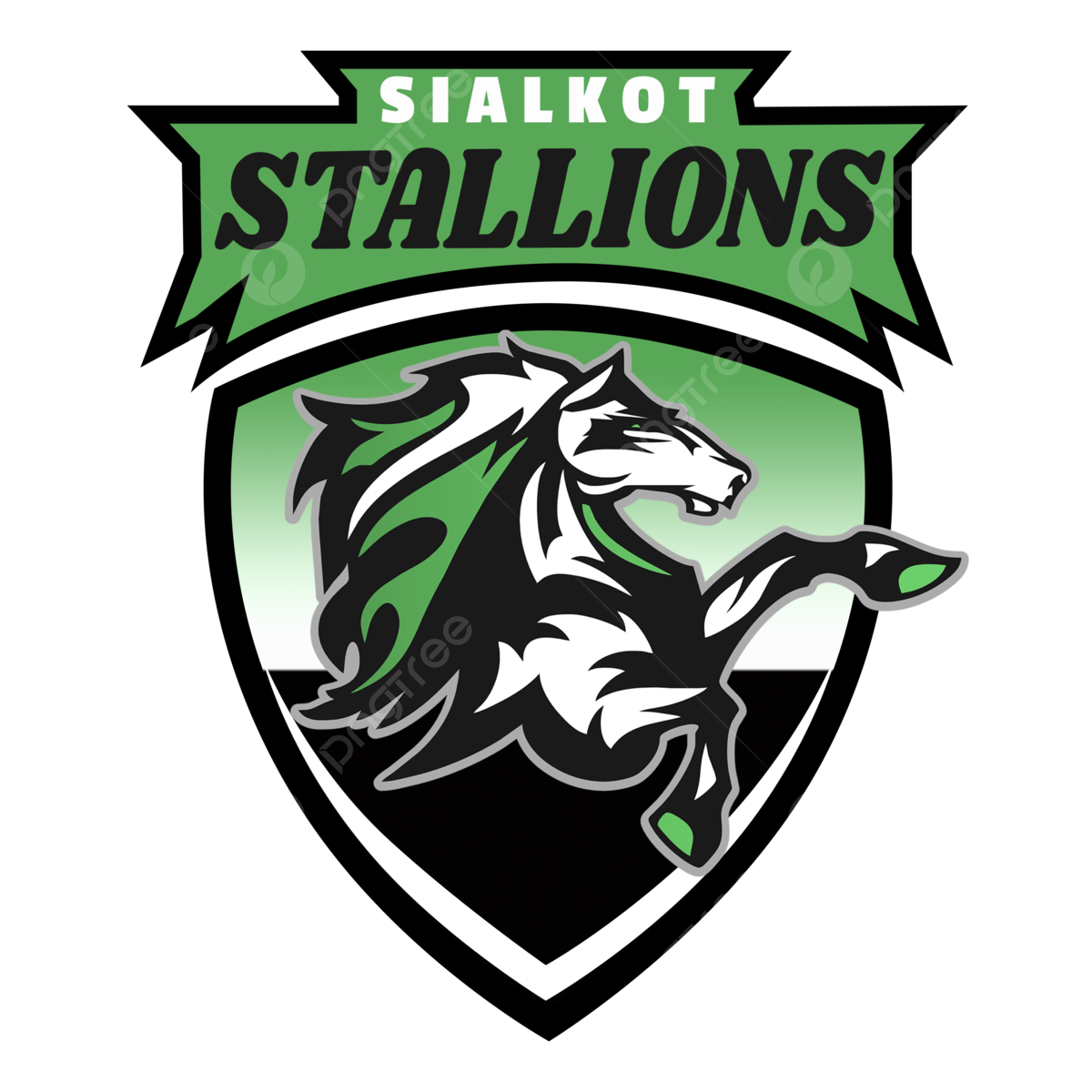 Wallpaper #4CyuSZMB0E1QgA7wdvO5143 Stallions Logo Cricket Team Logo Transparent Cricket League Logo