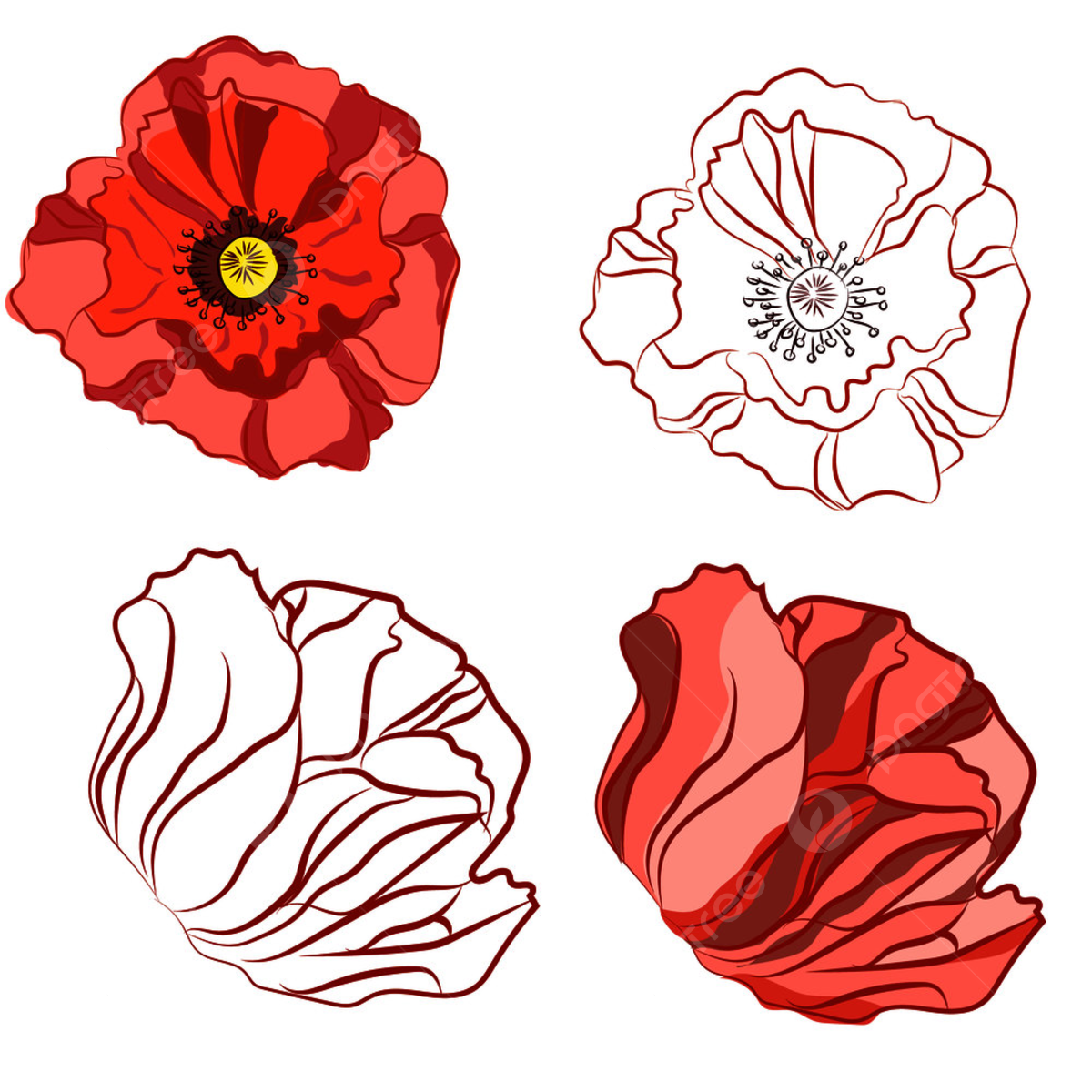 Wallpaper #4GdP9JIBSpphPi3-k3mn187 Beautiful Flower Pattern Vector Png Images Beautiful Poppy Flowers