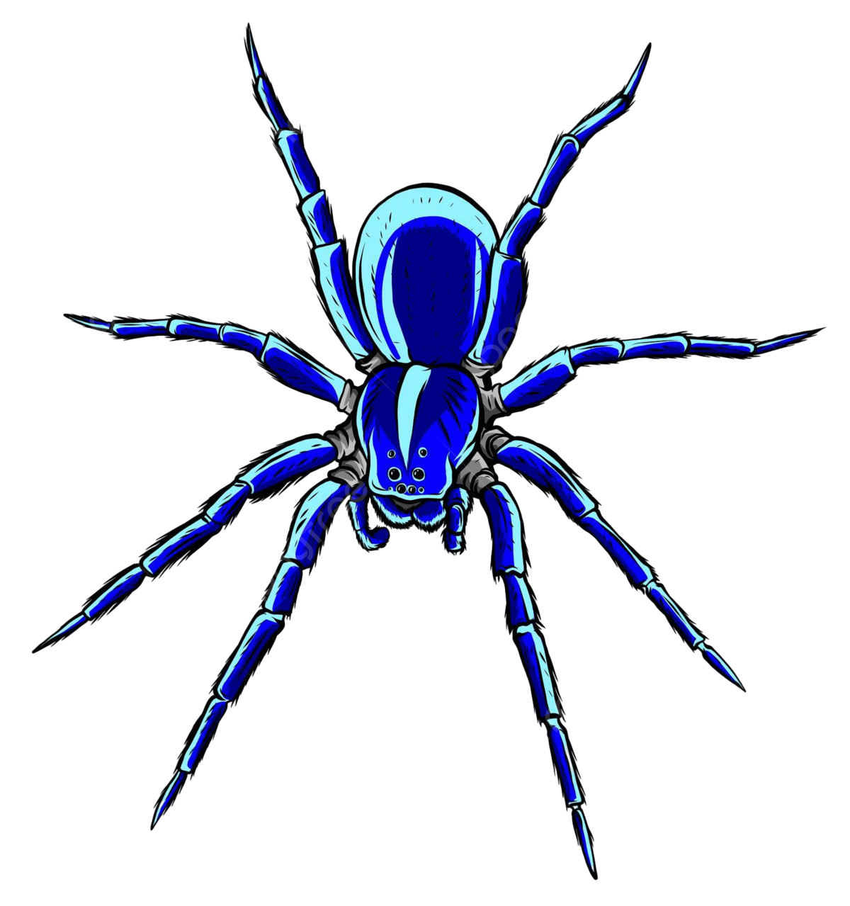Wallpaper #FRkNE48BtGB6xQ78l2V856 Spider Steed Crossbow Scary Vector Illustration Art Spider Horror