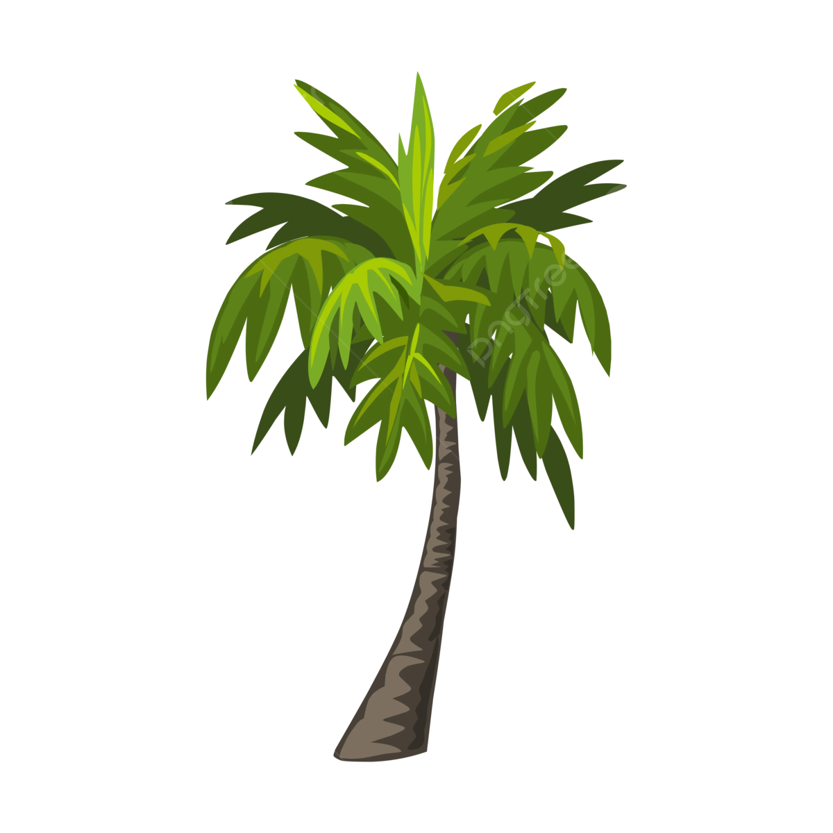 Wallpaper #BWgvFZMBSpphPi3-Zwec299 Palm Tree Vector Illustration Coconut Trees Hand Drawing Art Palm Tree