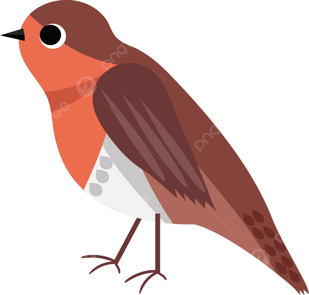 Wallpaper #afTDOpMBKFX8bn3rxXlk379 Imagenes Predisenadas De Head Up Robin Png Imagenes Predisenadas De