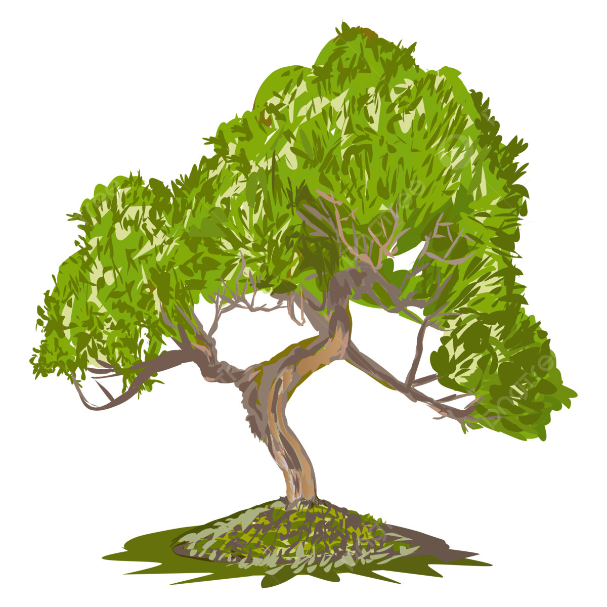Wallpaper #jWdLE5MBSpphPi3-Rv-o324 Fir Tree Bonsai Illustration Fir Tree Bonsai Flora Drawing Png and