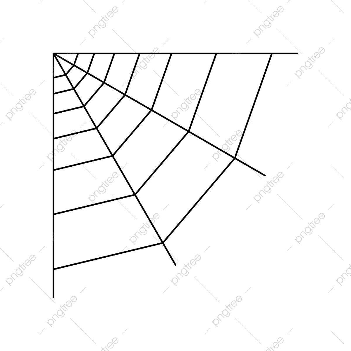 Wallpaper #52dP85IBSpphPi3-BnRA294 Spider Isolated Vector Art Png Quarter Spider Web Isolated on White