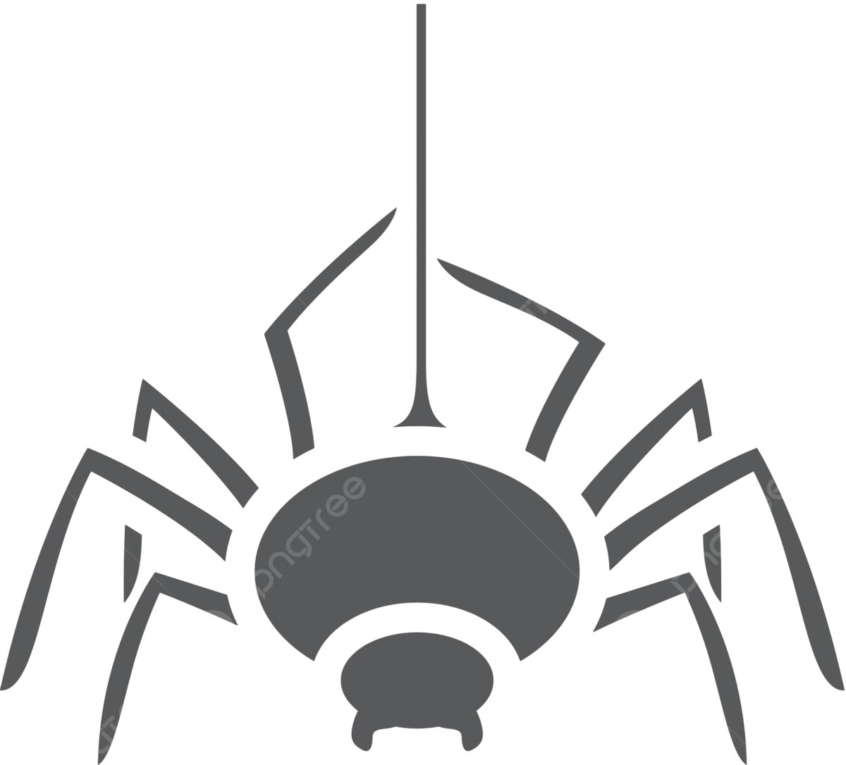 Wallpaper #aRnOEo8BtGB6xQ786WQF27 Bw Icons Spider Hanging Arachnid Silhouette Vector Hanging Arachnid