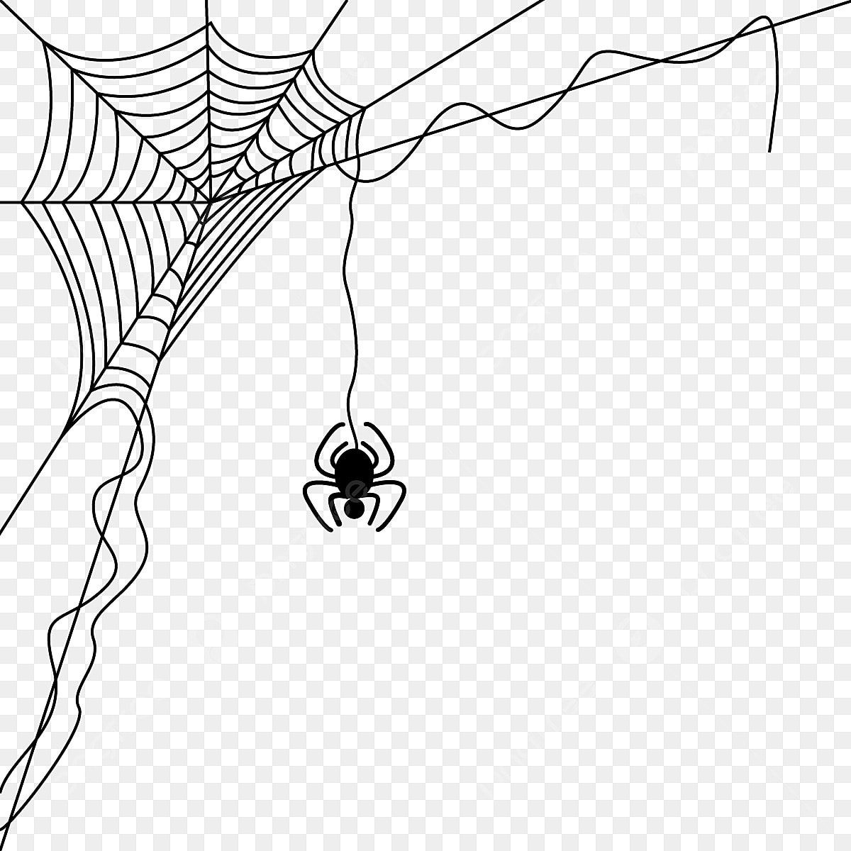 Wallpaper #MmhtGpMBSpphPi3-Uxyl368 Spider Web Decoration Pattern Spider Drawing Rat Drawing Spider Web