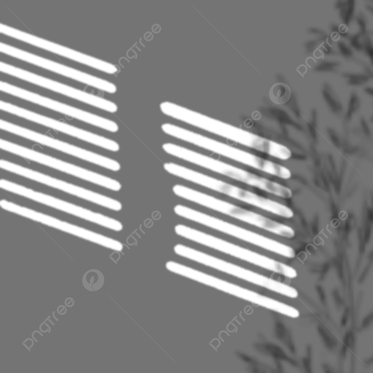 Wallpaper #klhxNJMBzN9vxX346zxu334 Windows Shadow HD Transparent Window Shadow with a Tree Window Shadow