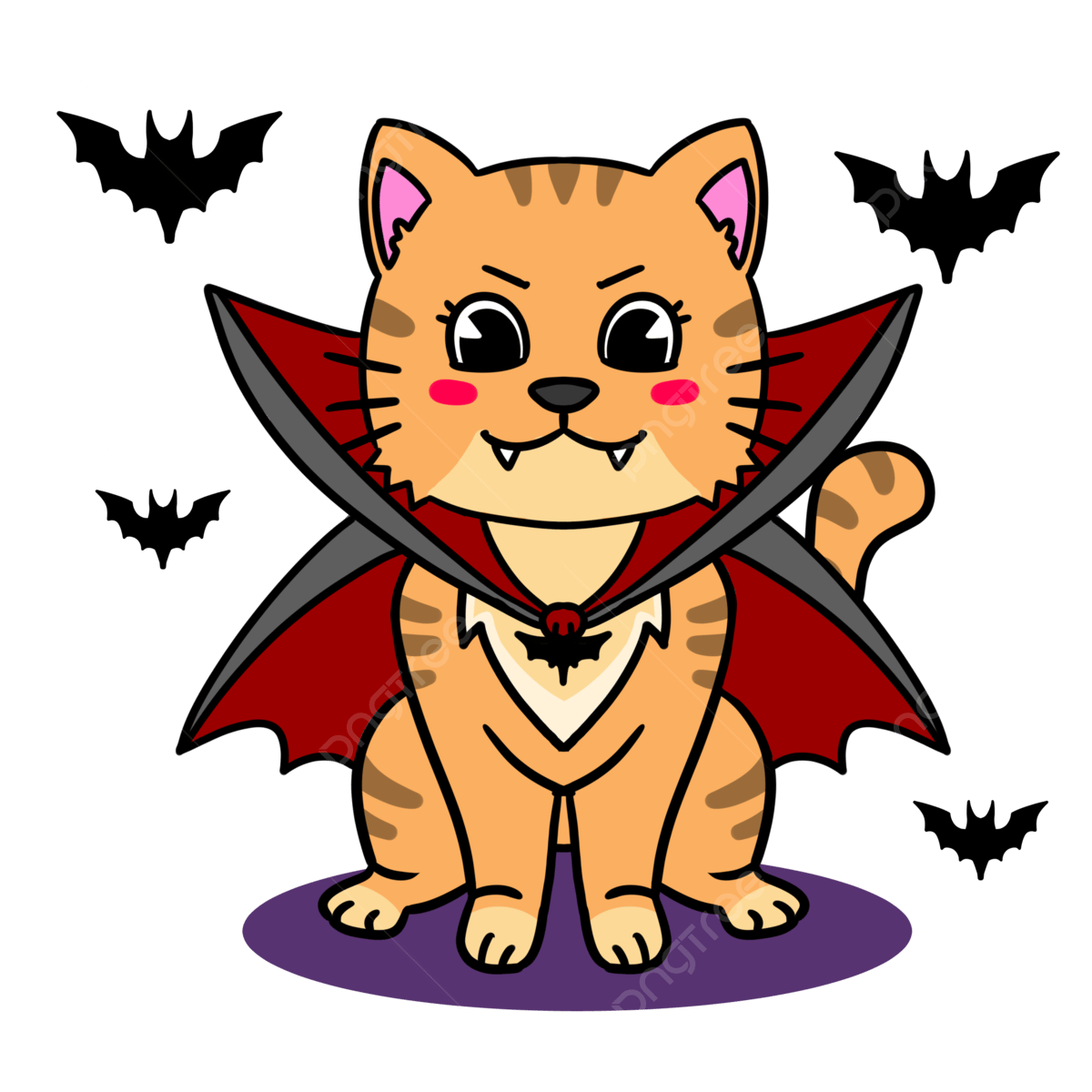 Wallpaper #UEBvMJMBJhL2WPbav8H-166 Halloween Costume White Transparent Halloween Cat Dracula Costume Cat