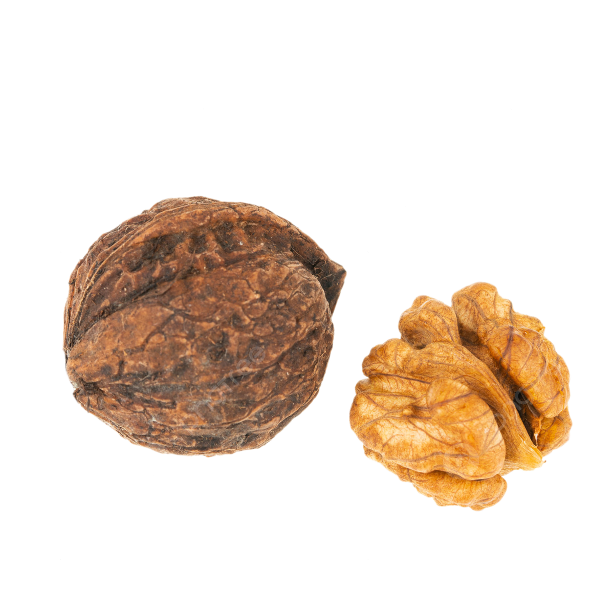 Wallpaper #x--qS5MBMN-XEVvVnztn584 New Year Nuts Cool Mountain Fresh Walnut Wet Walnut New Year Nut