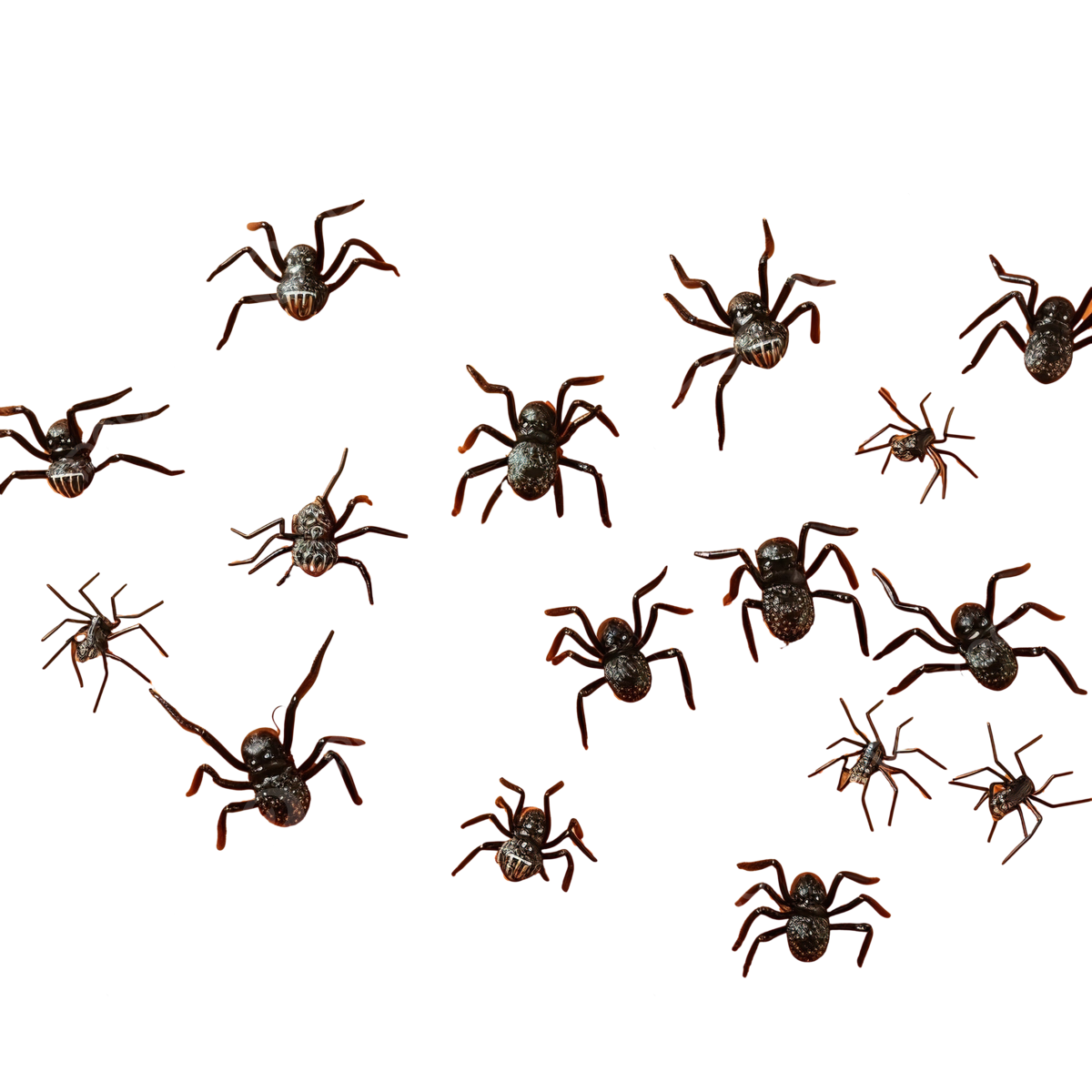 Wallpaper #ran_ipcBxbDgA0RlU_Fj185 Halloween Decorations Different Spiders on Orange Surface Spider