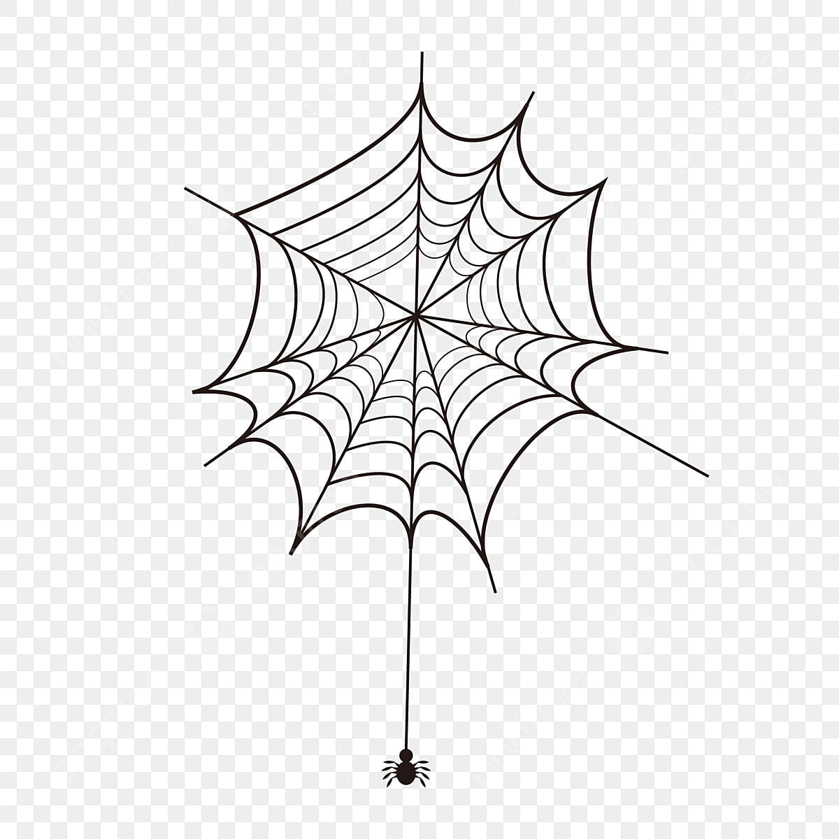 Wallpaper #52dP85IBSpphPi3-BnRA166 Halloween Spider Web Vector HD Png Images White Spider Web Vector