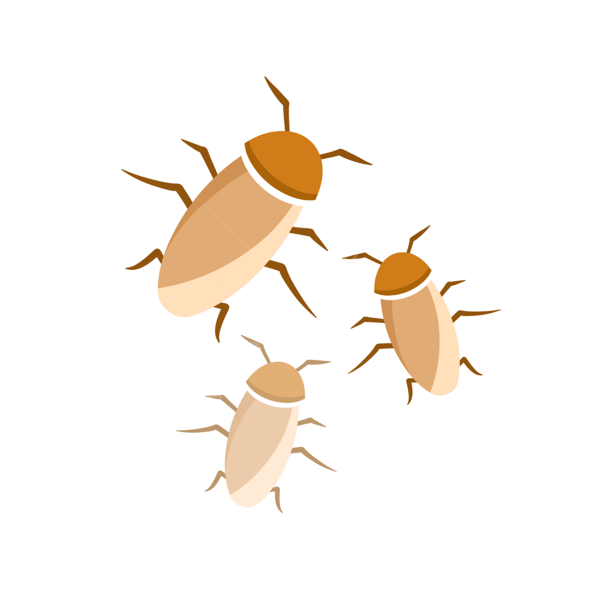 Wallpaper #SWdXCpMBSpphPi3-q9Qk245 Cockroach Cartoon Png Image Cartoon Vector Cockroach Element Cartoon