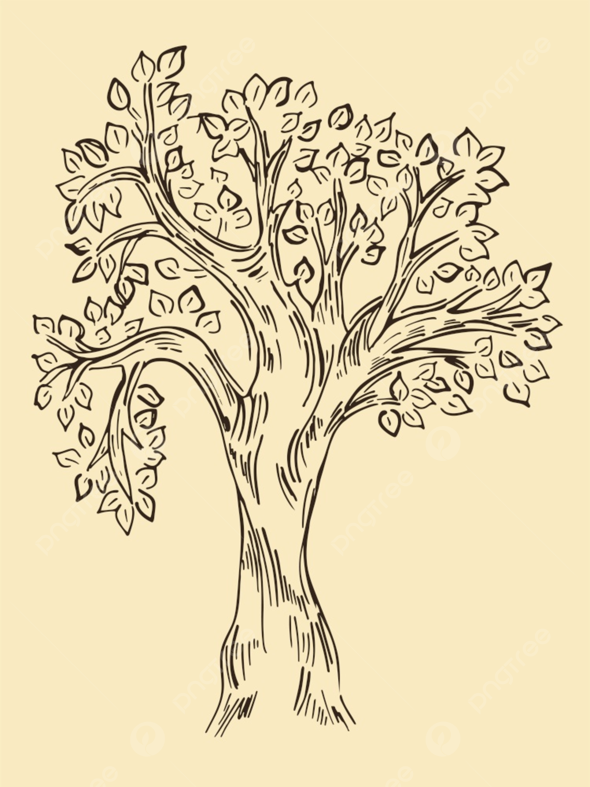 Wallpaper #BWgvFZMBSpphPi3-Zwec166 Vintage Tree Sketch Vector Illustration Oak Natural Organic Png and