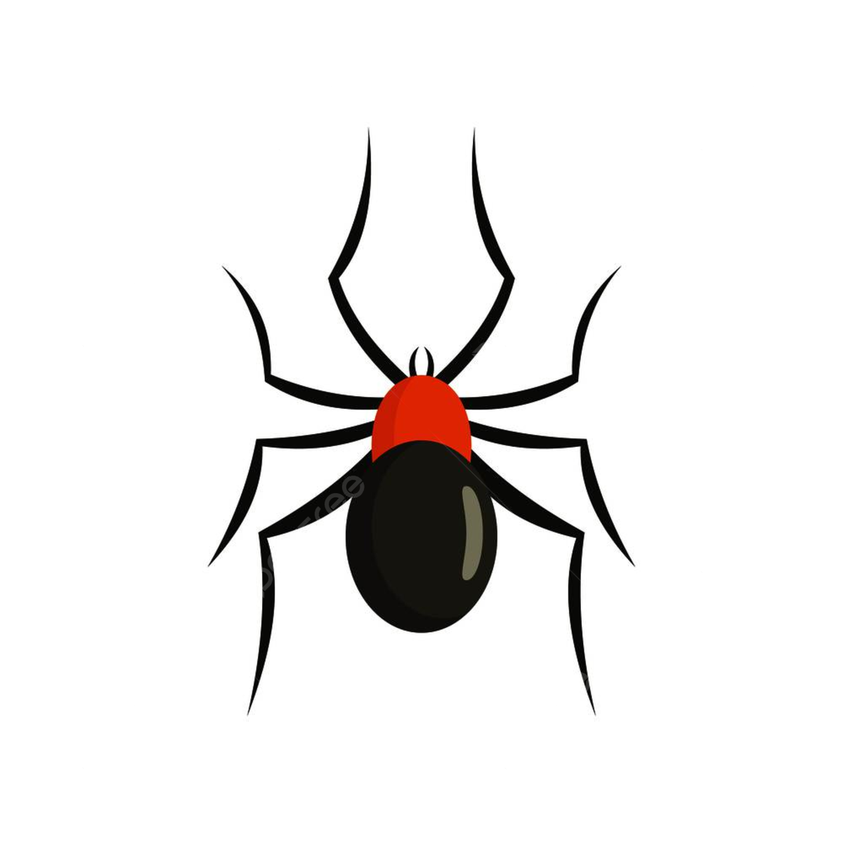 Wallpaper #RPS3OZMBKFX8bn3r6ncE392 Male Mouse Spider Icon Horror Species Icon Png and Vector with