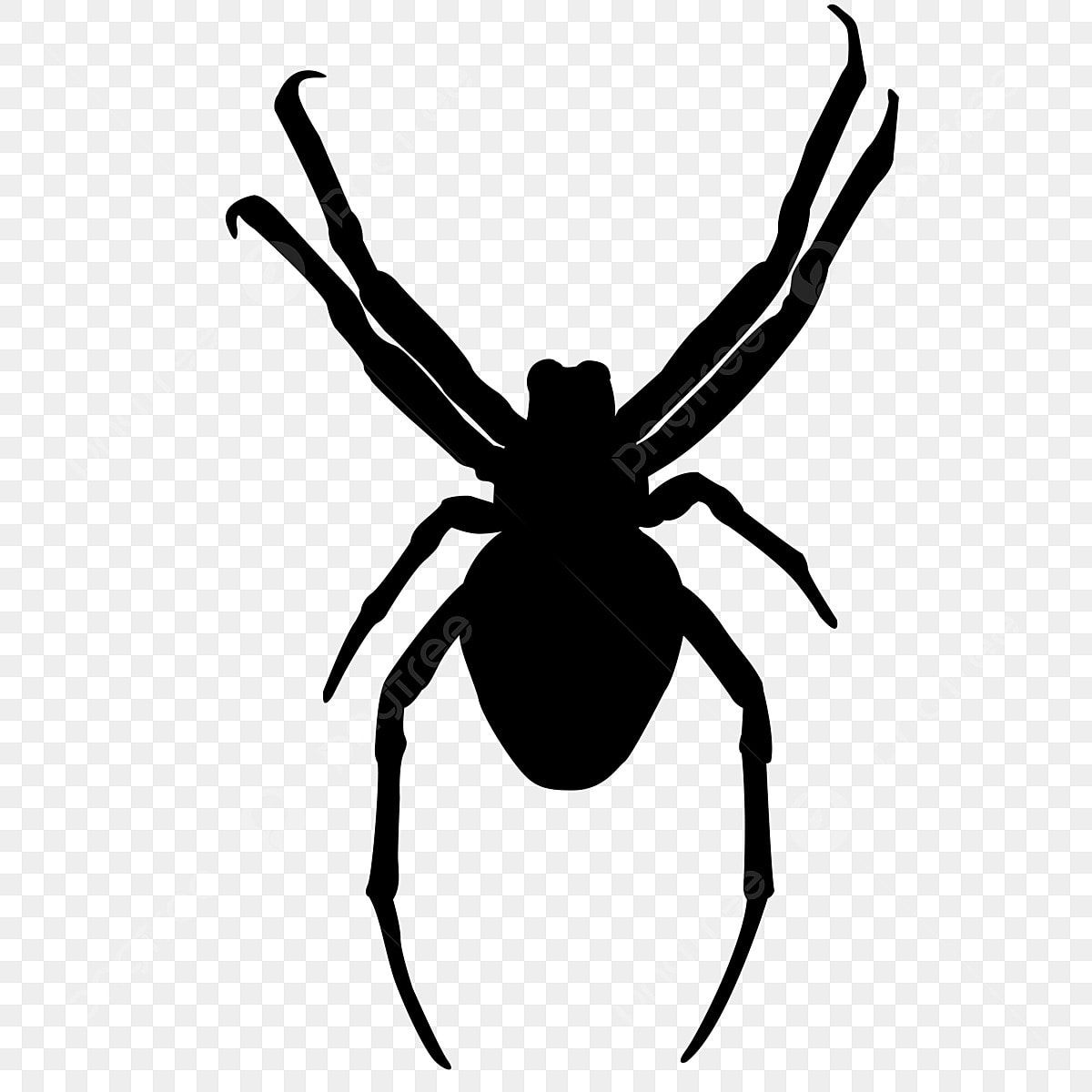 Wallpaper #71bf1 Pin by Kayleigh on Spider Drawings in 2024 Spiderman Drawing