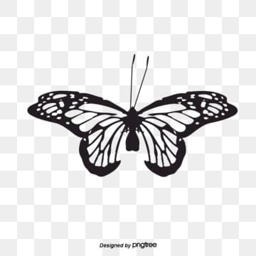 Wallpaper #eJyi4ZIBZHQxiYar67ym297 White Wings Silhouette Png and Vector Images Free Download Pngtree
