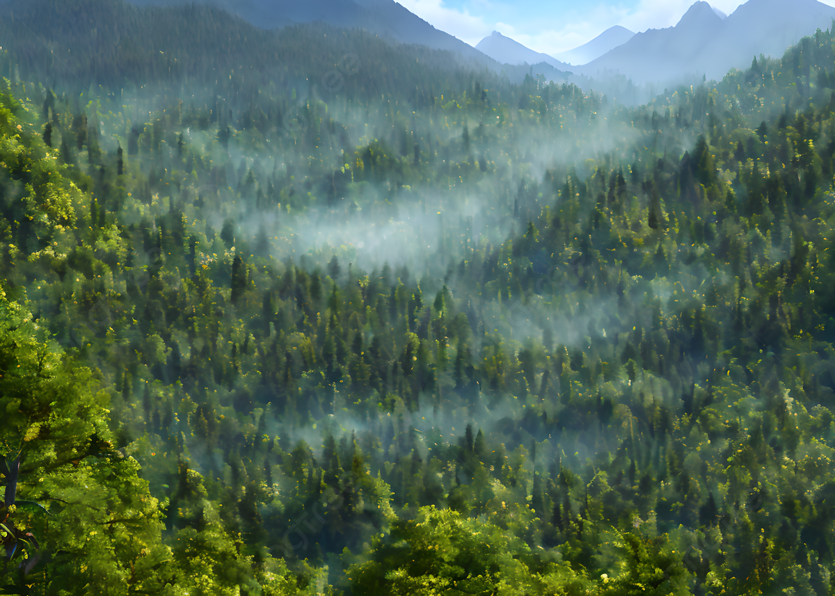 Wallpaper #s-9ES5MBMN-XEVvVNzoH89 The Highlands Are Dense with Forests and Mountains Background Nature