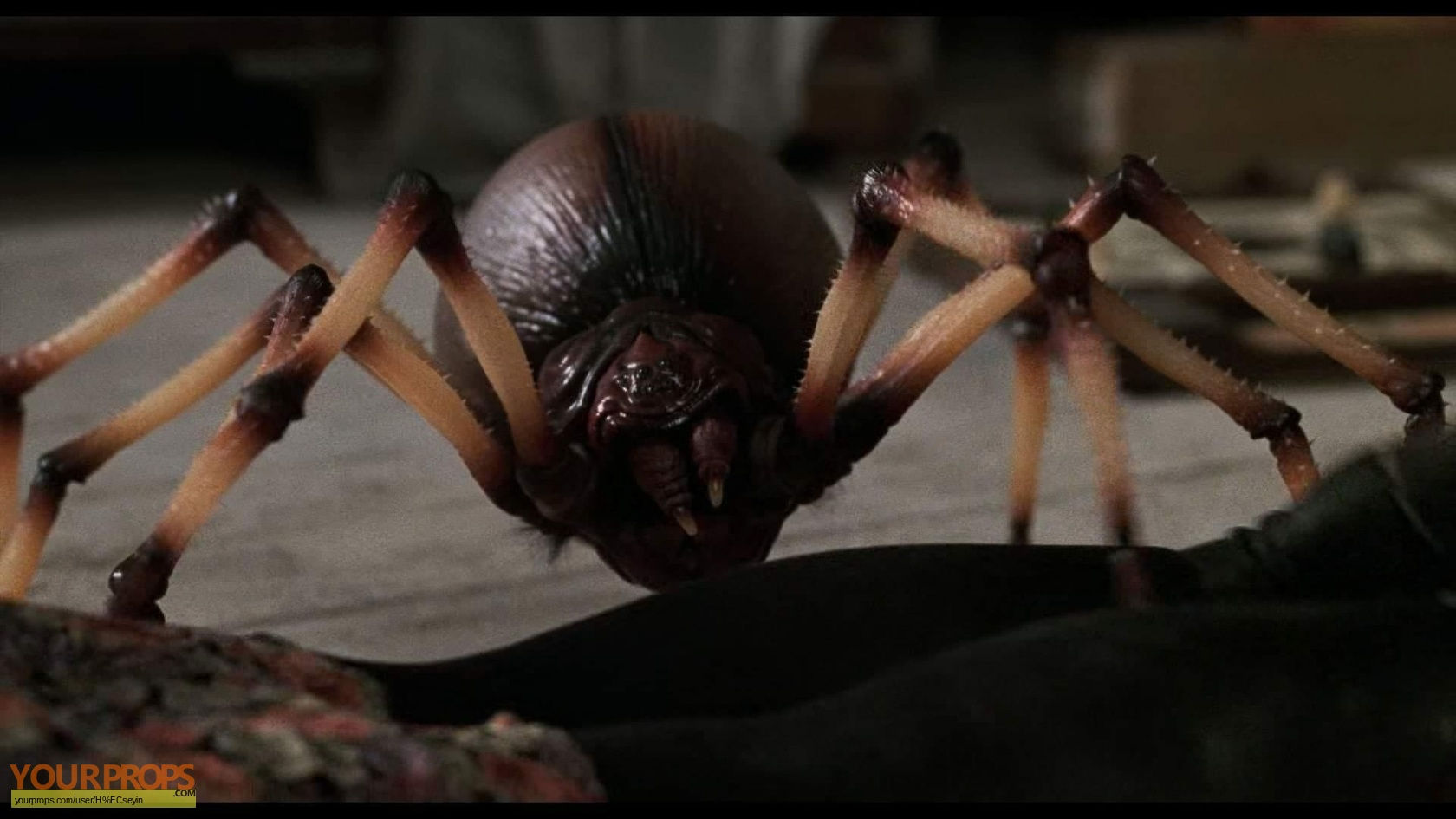 Wallpaper #-mhaFJMBSpphPi3-rAPx341 Jumanji Hero Animatronic Spider Legg Original Movie Prop