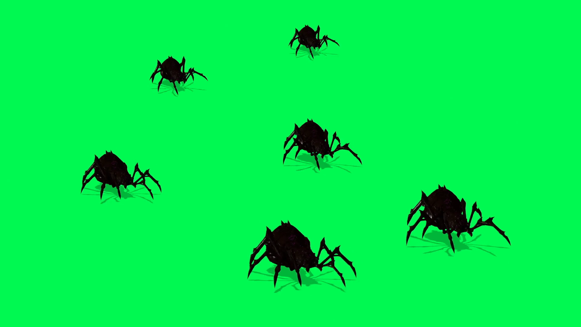 Wallpaper #HxkOE48BtGB6xQ78w2Wm16 Animation of Spiders on Green Screen Creepy Stock Motion Graphics Sbv