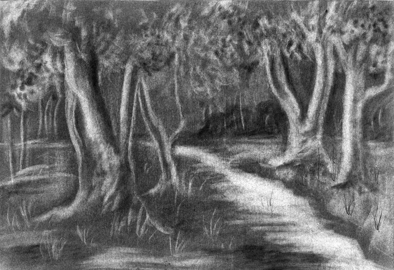 Wallpaper #d2c4EZMBSpphPi3-OPZ110 Forest Pencil Sketch at Paintingvalleycom Explore Collection of