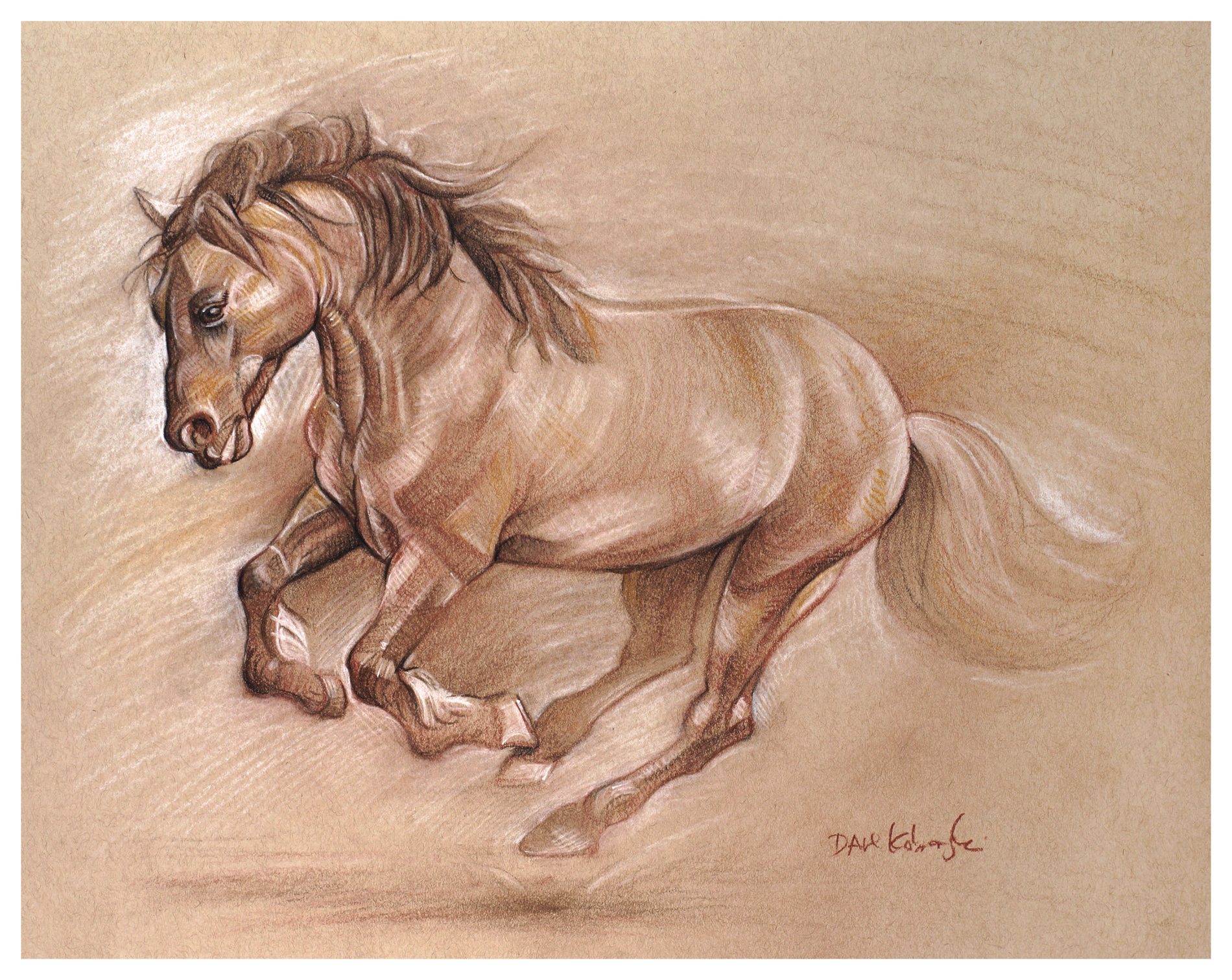 Wallpaper #hHP9ho4BFI5NbQksJSBe54 Mustang Horse Drawing at Paintingvalleycom Explore Collection of