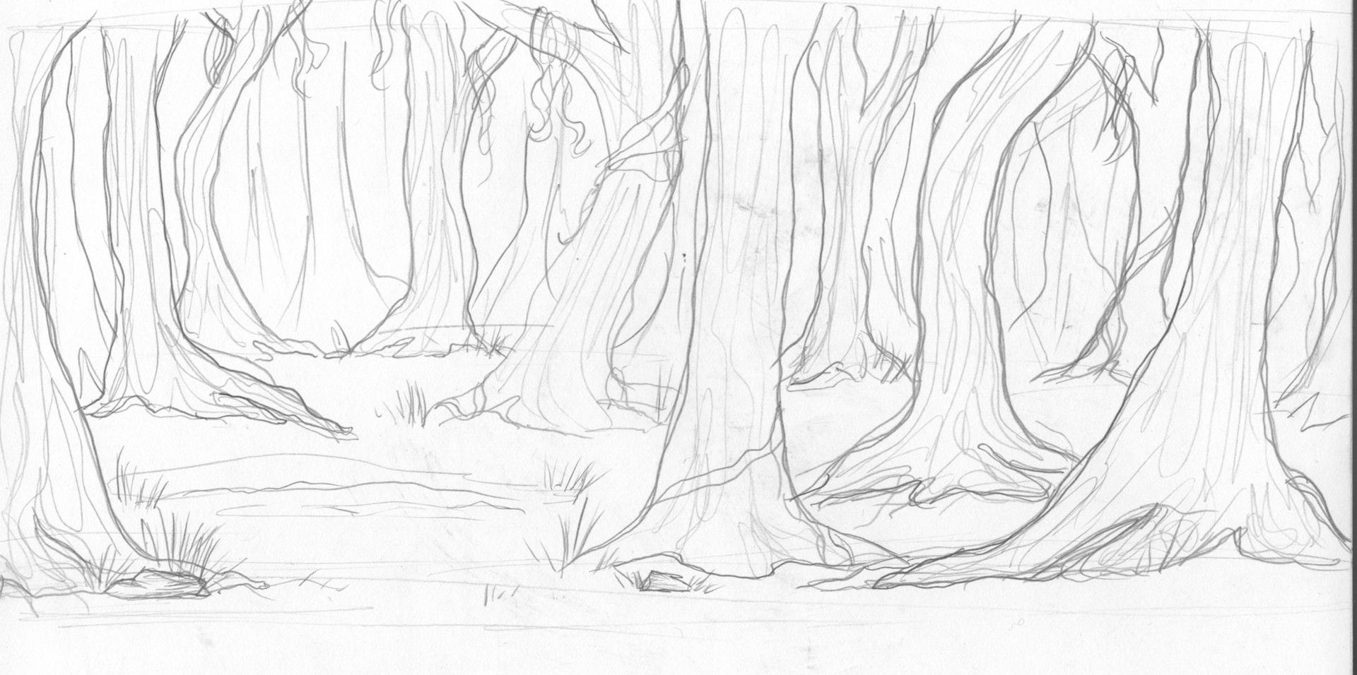 Wallpaper #9R0YLZMBlOZrFDOkn87x388 Forest Background Drawing at Paintingvalleycom Explore Collection of